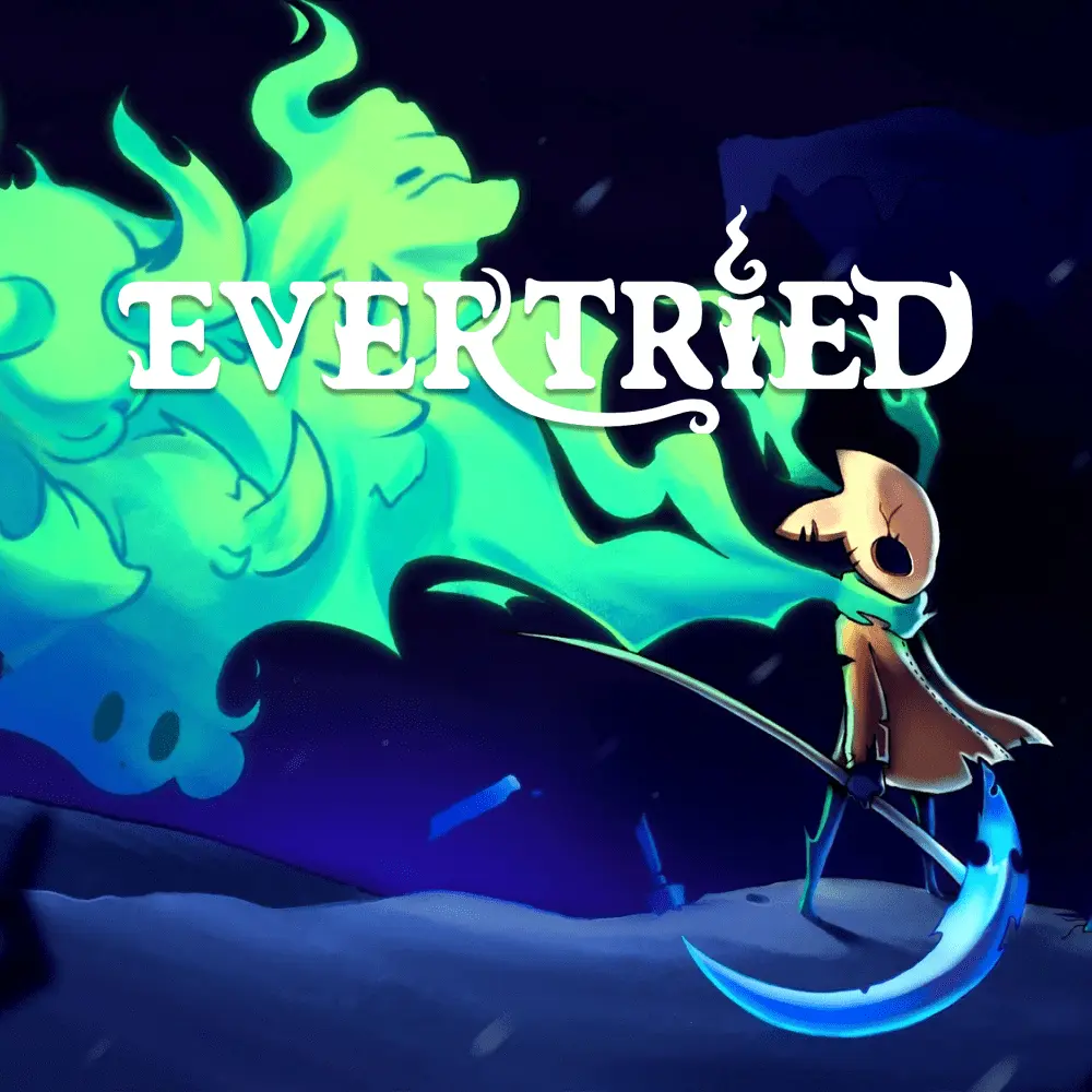 Купить Evertried - изображение