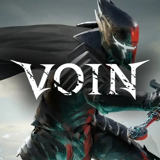 Купить VOIN - изображение