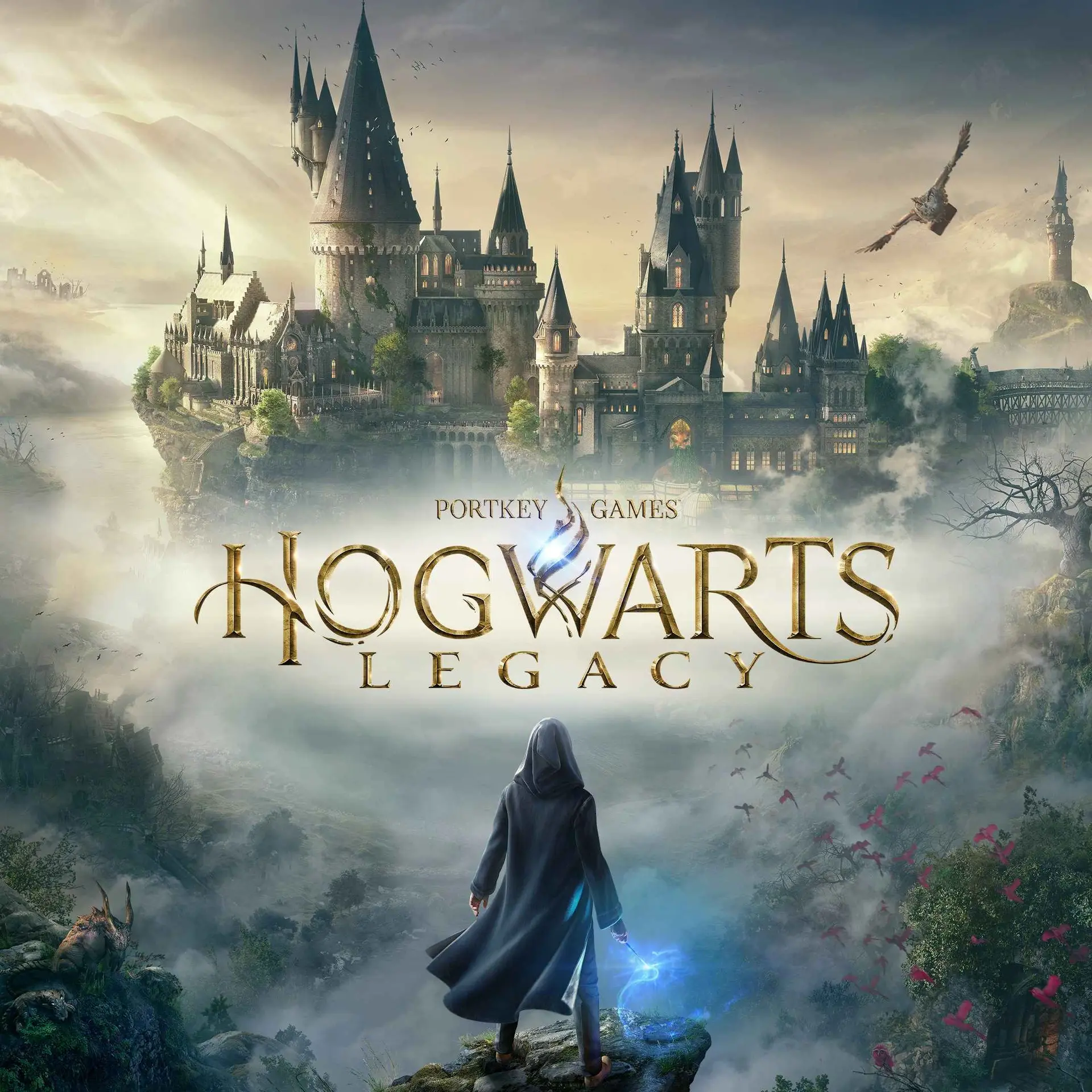 Купить Hogwarts Legacy - изображение