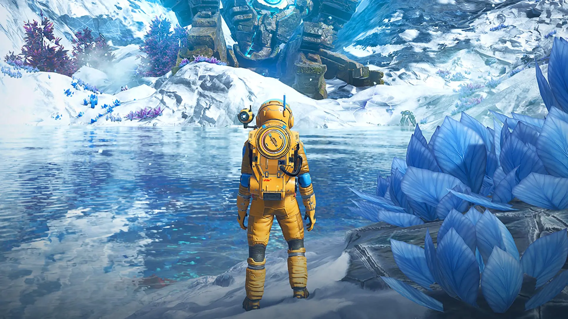 nms.jpg