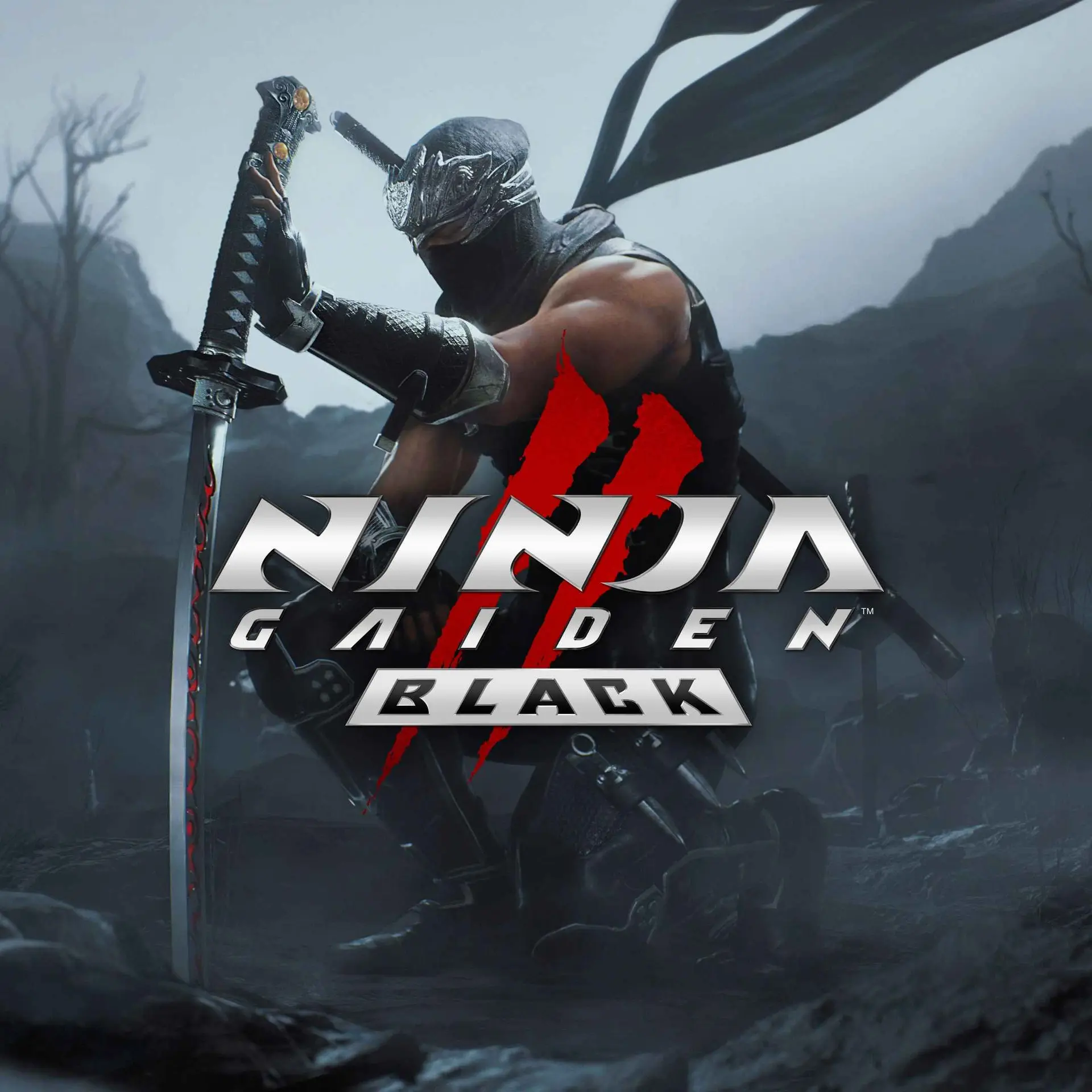 Купить NINJA GAIDEN 2 Black - изображение