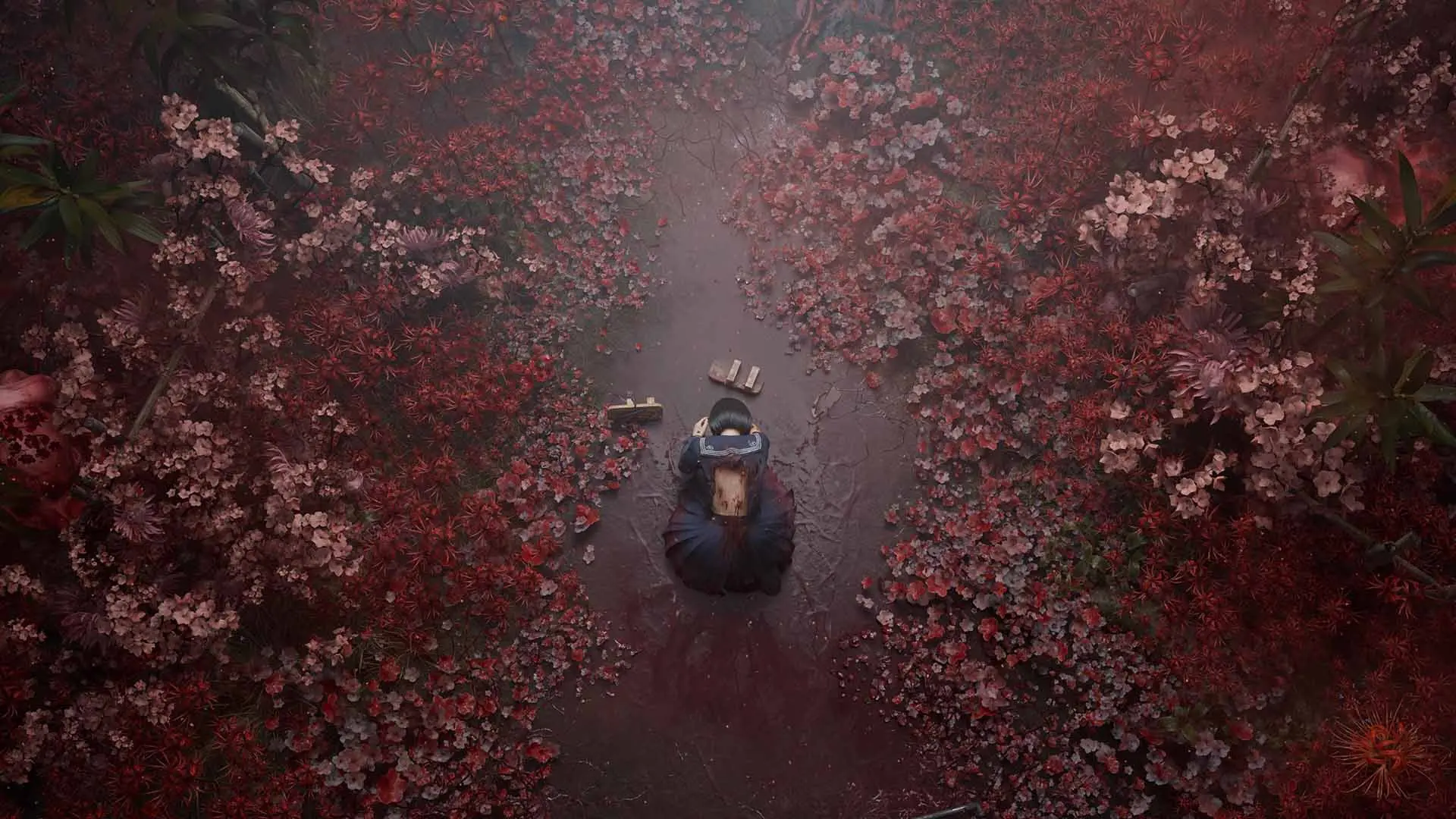 n10sh.jpg