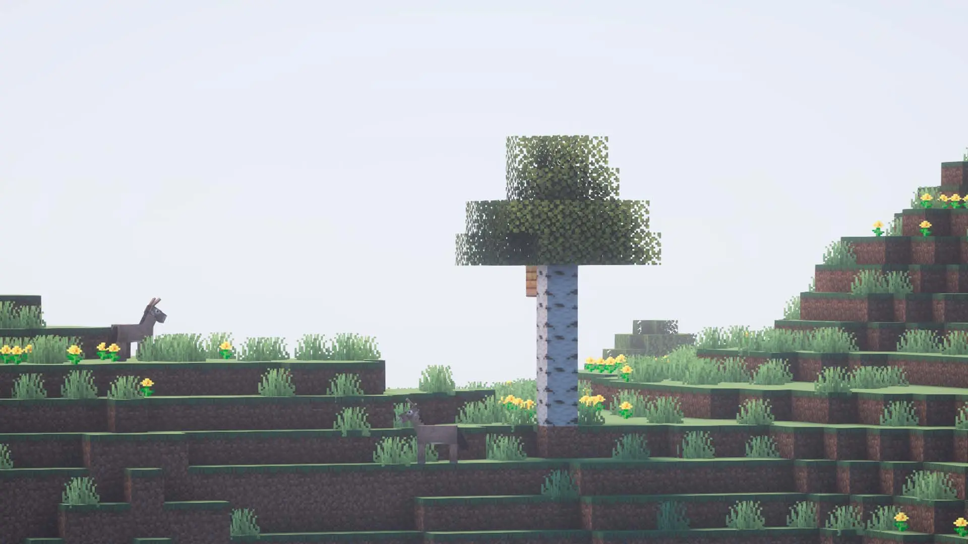 Minecraft. Моды для лучшей графики - изображение