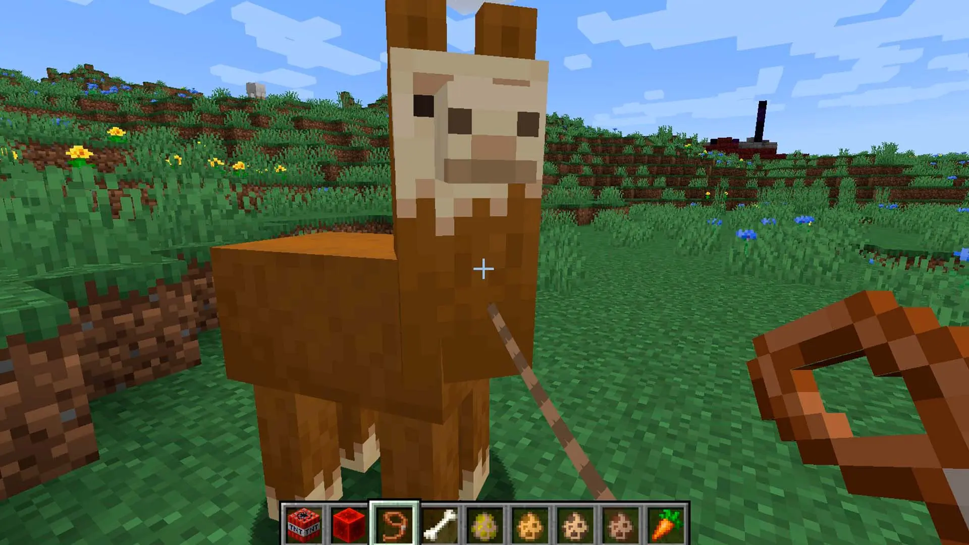 Minecraft. Как сделать поводок: крафтим, приручаем, привязываем - изображение