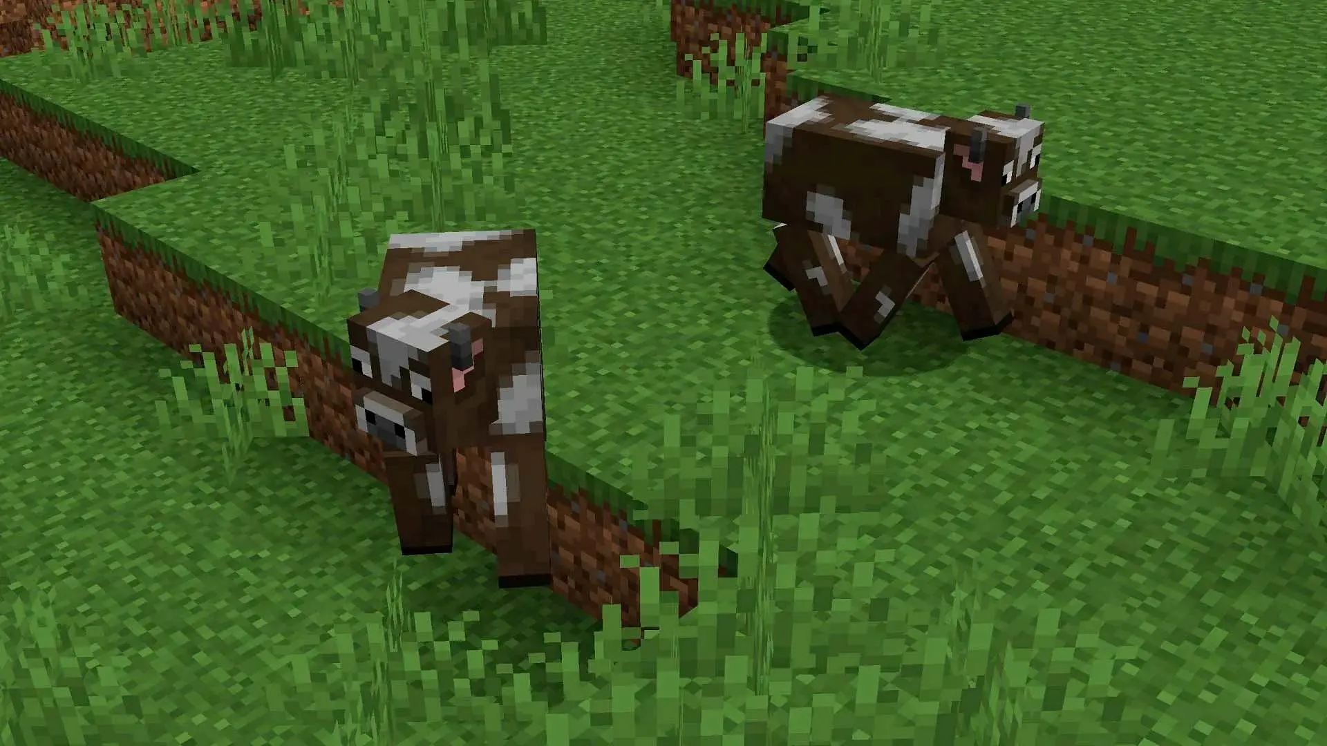 Minecraft. Кафедра: крафт, фишки, схемы - изображение