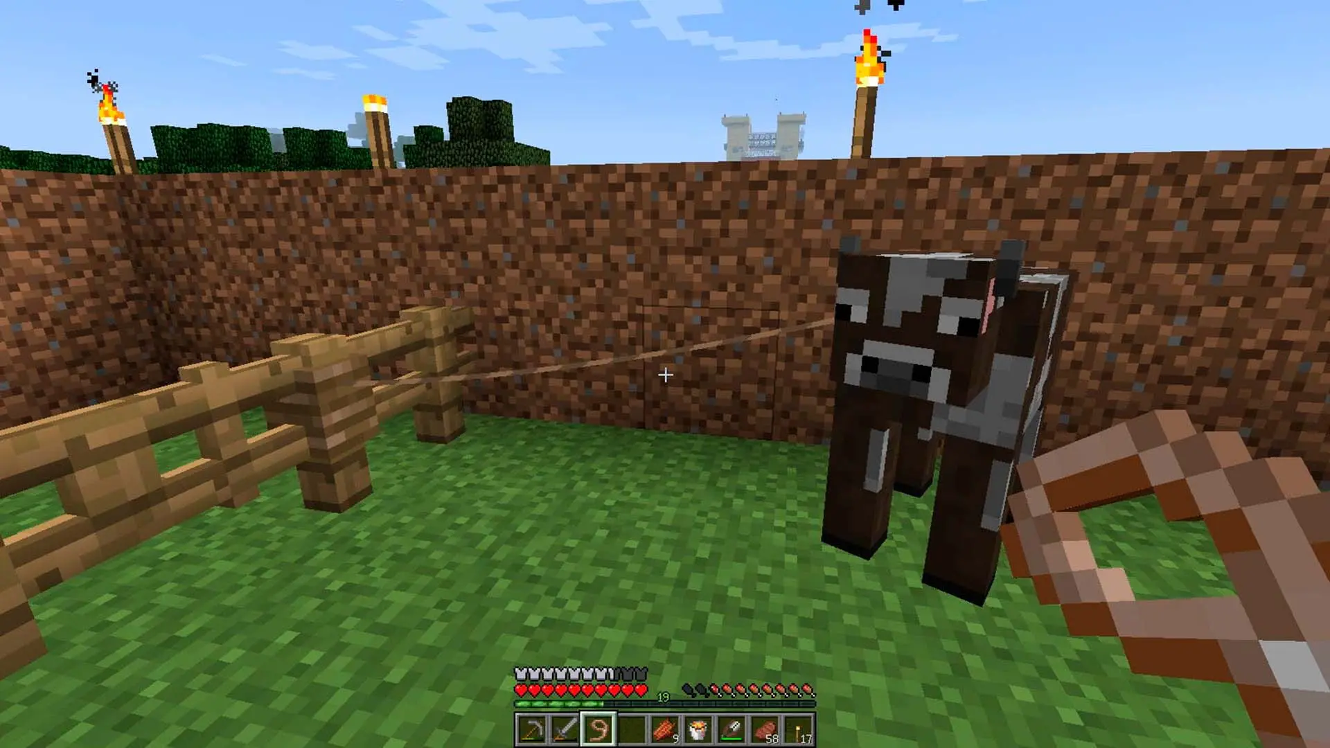 Minecraft. Как сделать поводок: крафтим, приручаем, привязываем - изображение