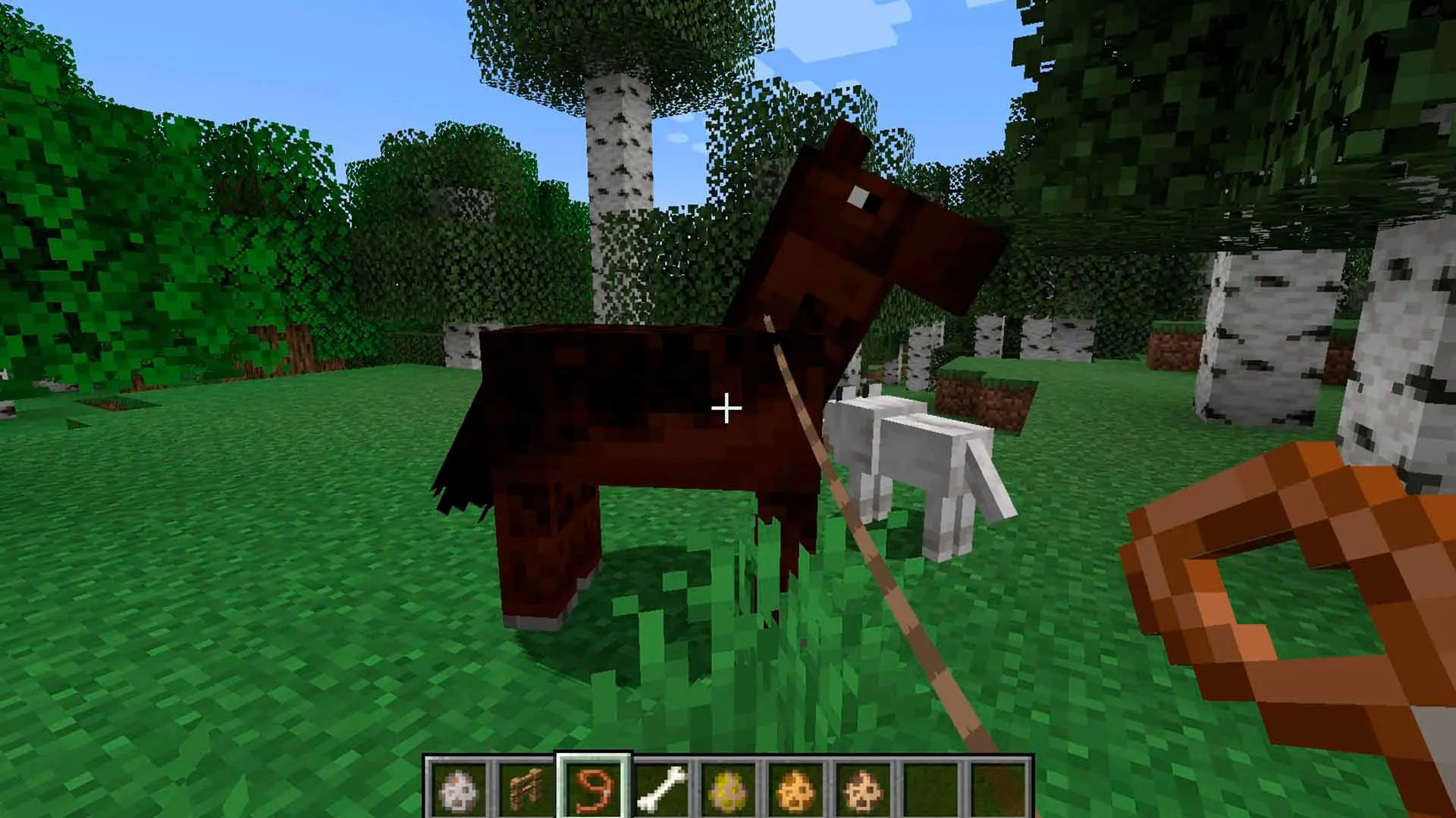 Minecraft. Как сделать поводок: крафтим, приручаем, привязываем - изображение