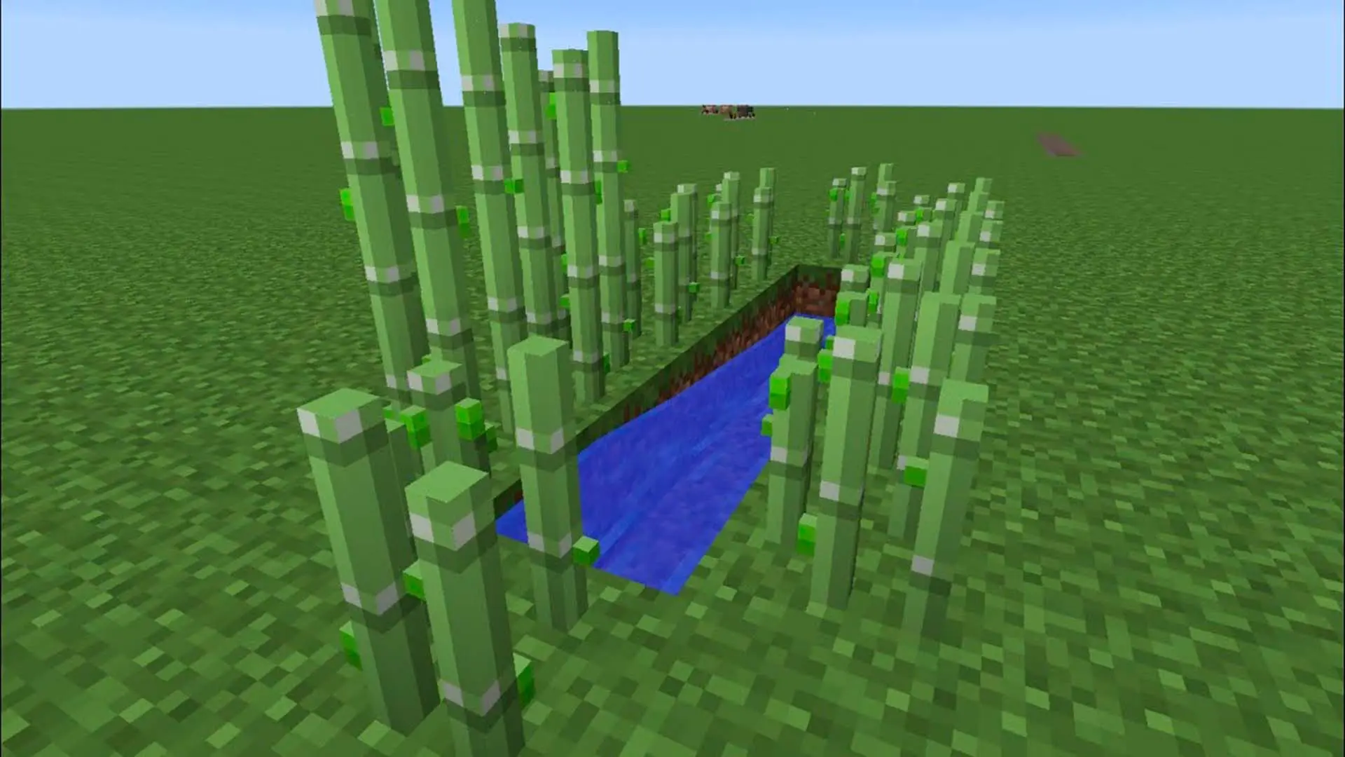 Minecraft. Как сделать бумагу: крафт, применение, ферма тростника - изображение