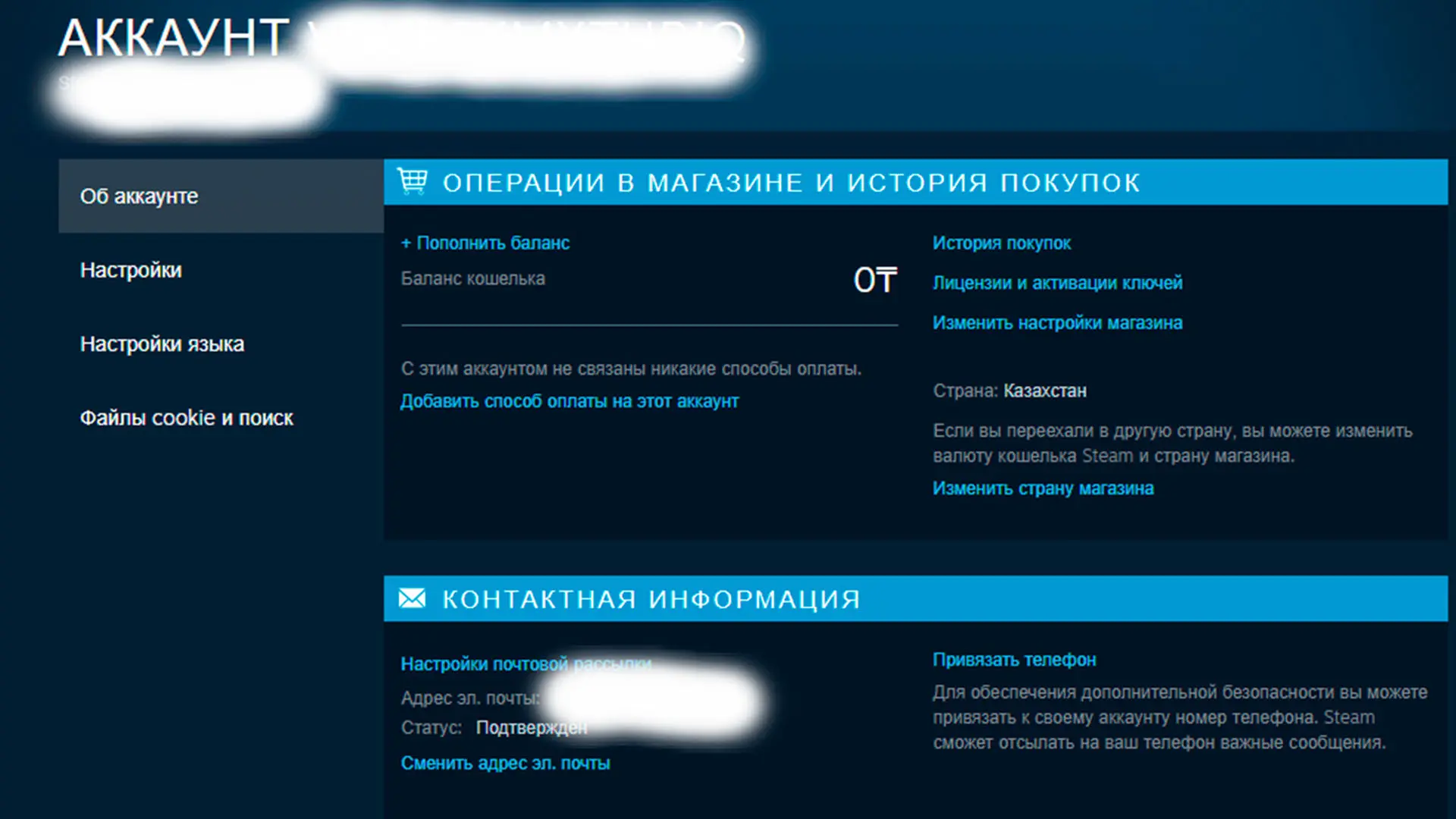 Как пополнить казахстанский аккаунт Steam из России - изображение