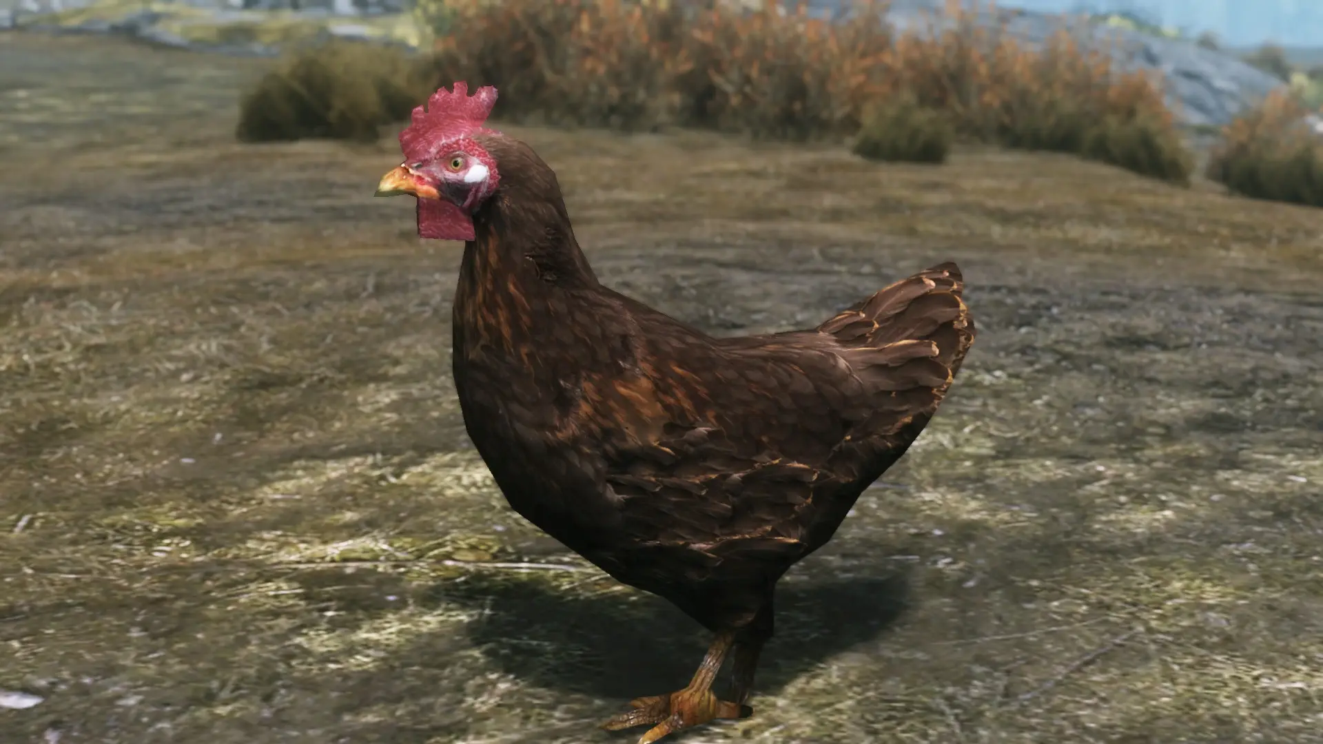 В Bethesda не хотели «наказывать» за нападение на куриц в Skyrim - изображение