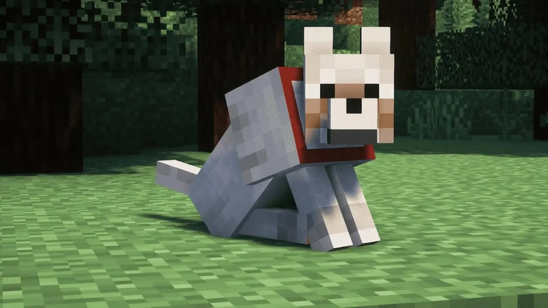 Minecraft. Броня для собак: как одеть волка и не потерять через минуту - изображение