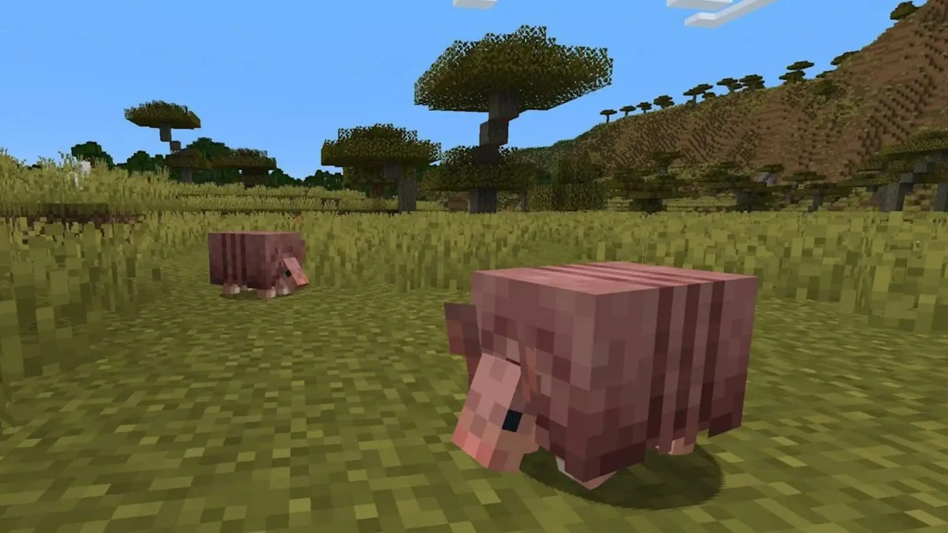 Minecraft. Броня для собак: как одеть волка и не потерять через минуту - изображение