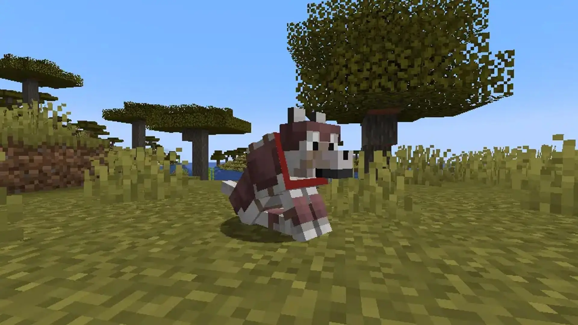 Minecraft. Броня для собак: как одеть волка и не потерять через минуту - изображение