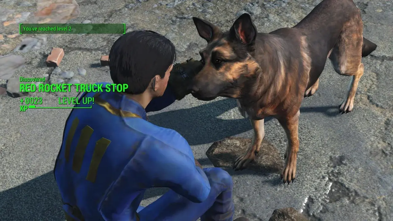 Fallout 4. Все компаньоны - изображение