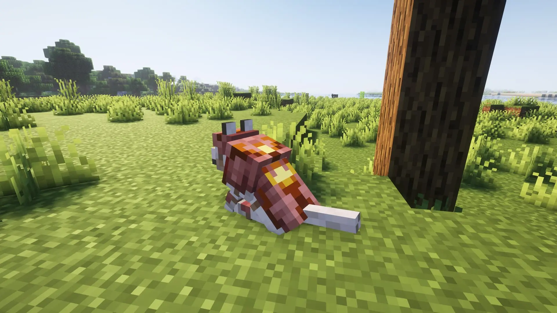 Minecraft. Броня для собак: как одеть волка и не потерять через минуту - изображение