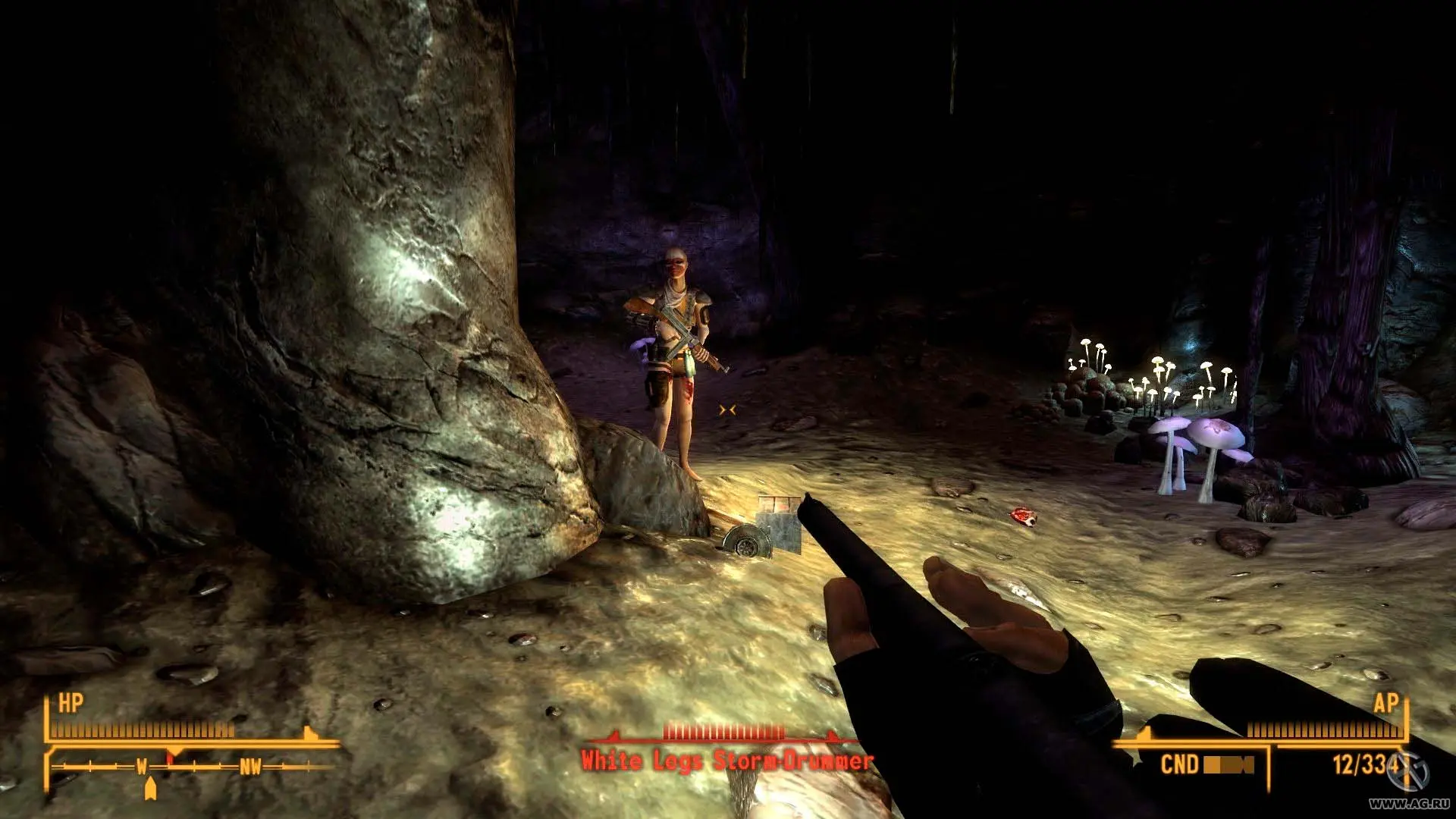 Fallout: New Vegas. Все дополнения - изображение