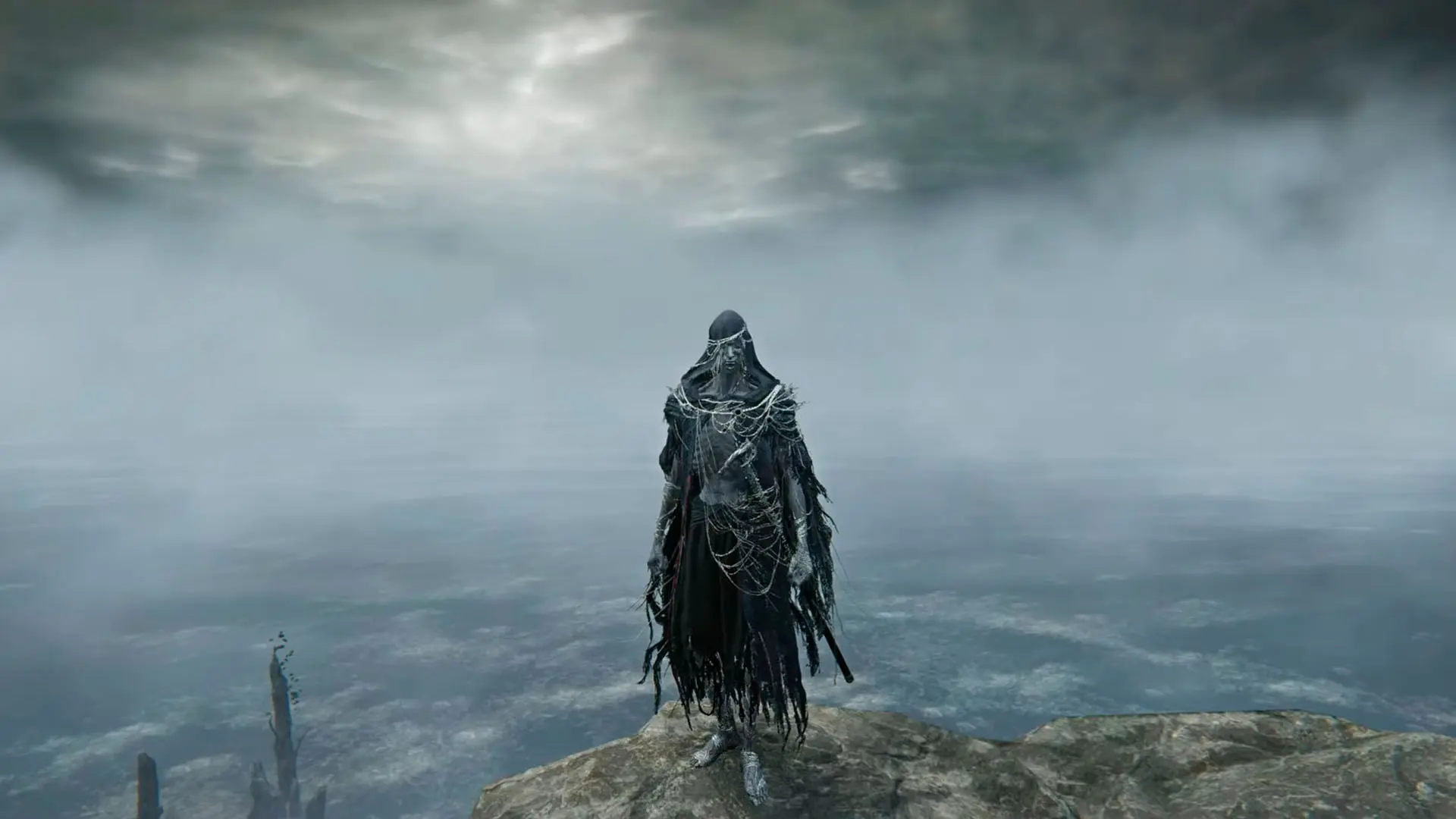 Elden Ring Nightreign: Forsaken Hollows. Все новые облики - изображение