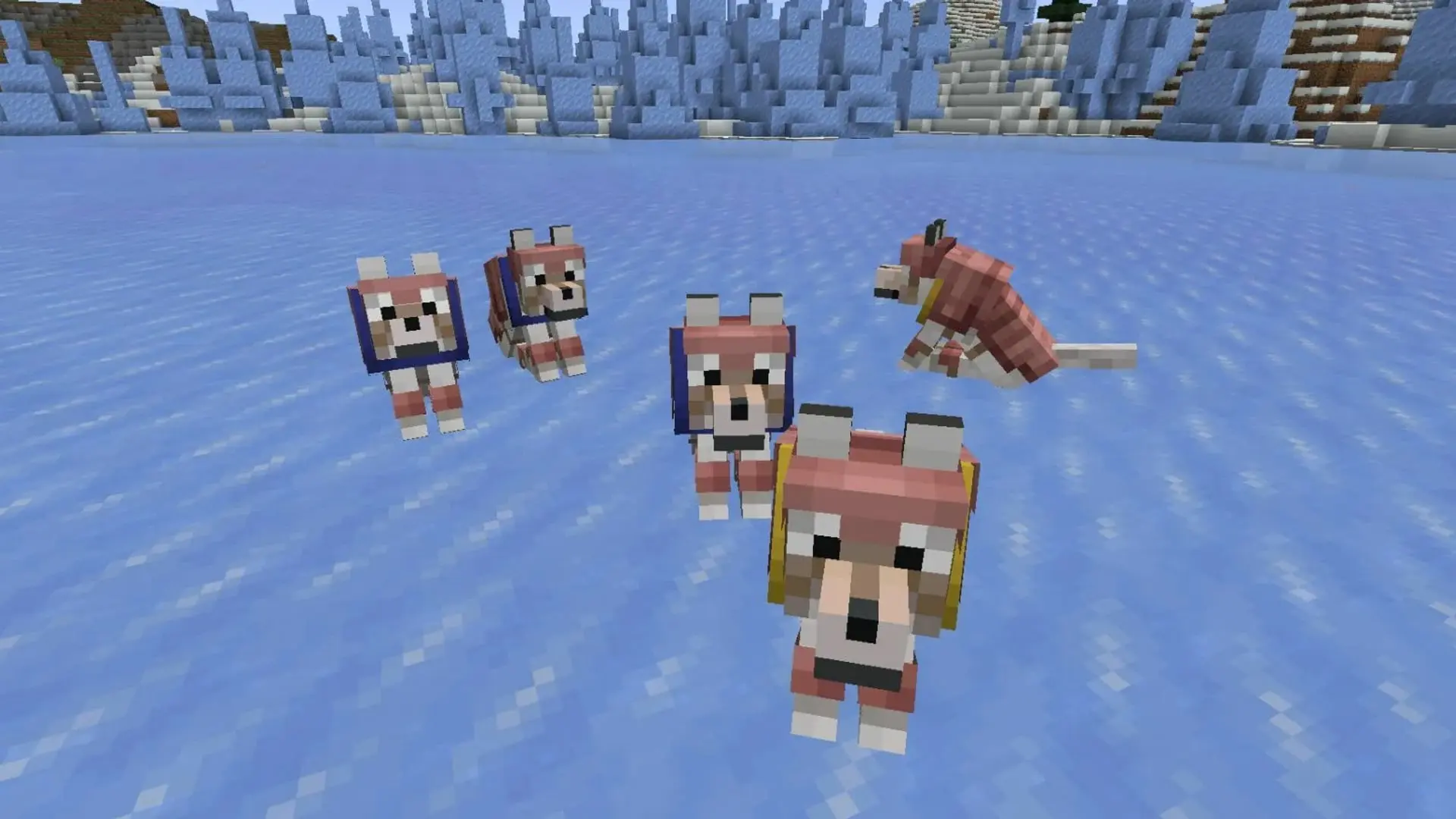 Minecraft. Броня для собак: как одеть волка и не потерять через минуту - изображение