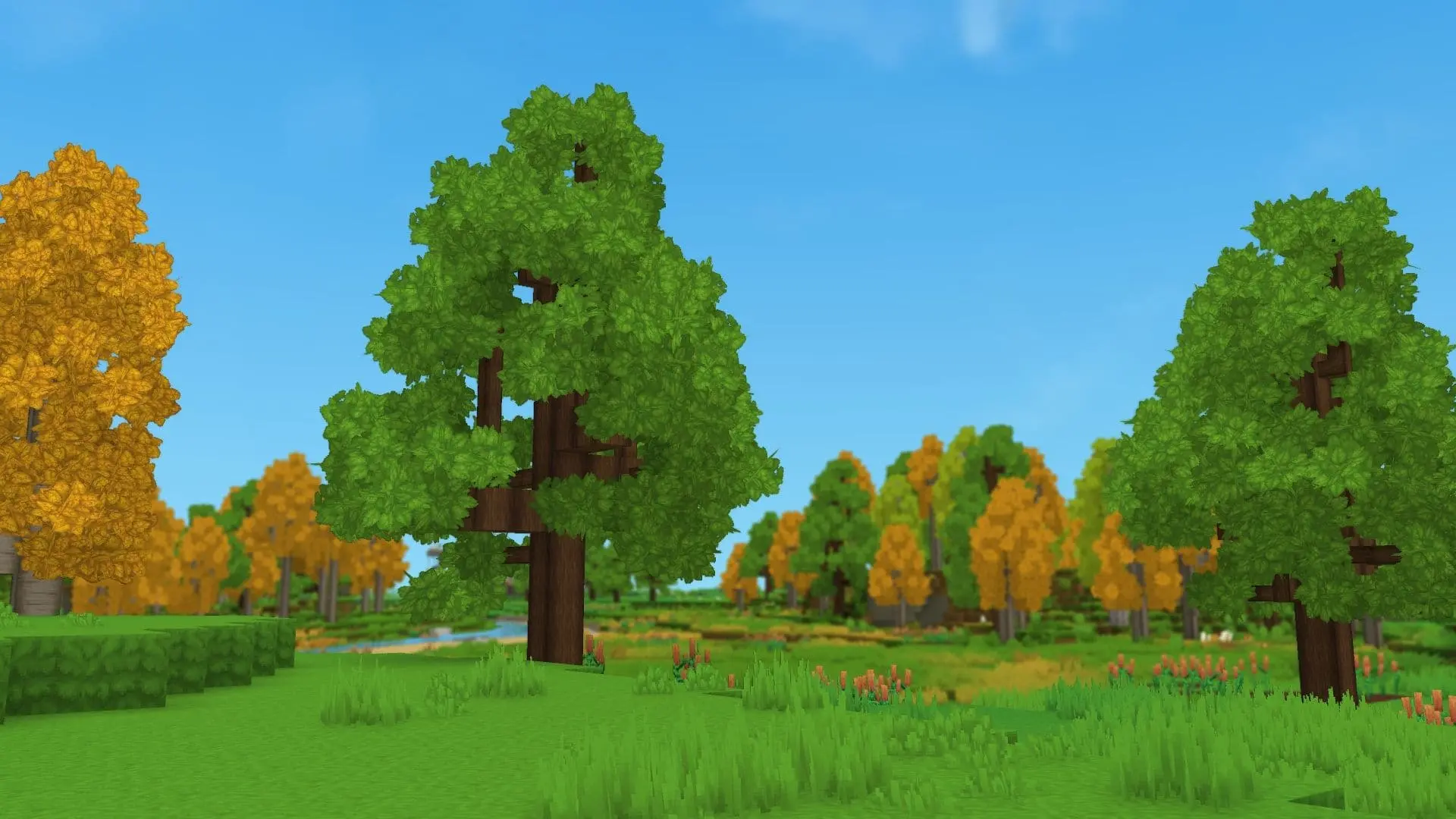 Hytale. Мягкая древесина: где найти и как посадить бук - изображение