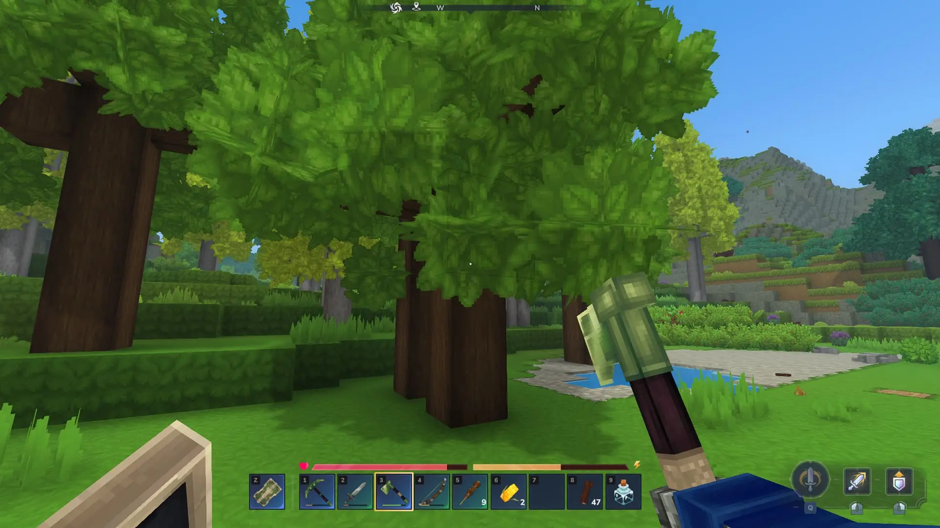 Hytale. Мягкая древесина: где найти и как посадить бук - изображение