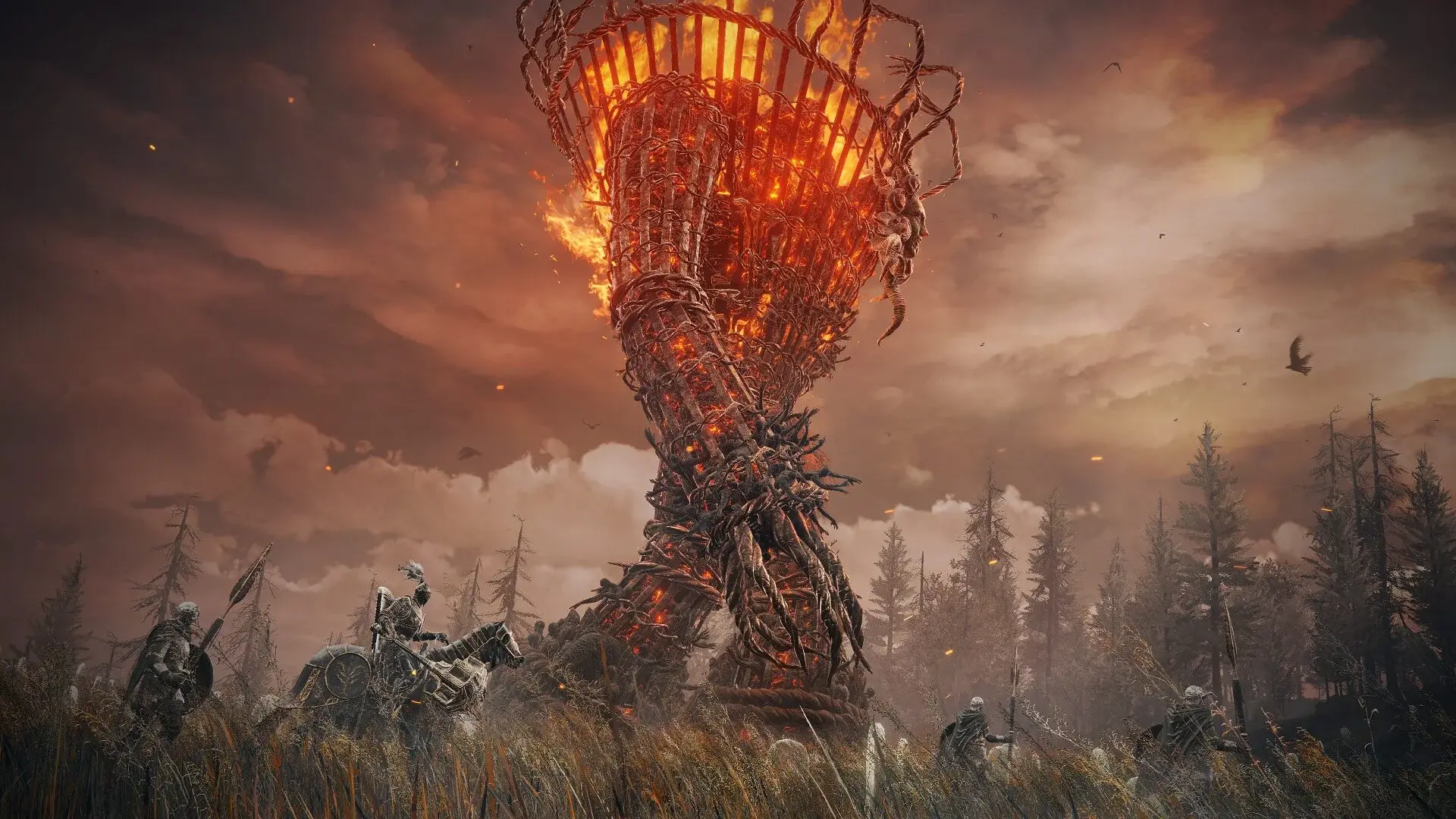 На Amazon заметили страницу предзаказа Elden Ring Tarnished Edition - изображение
