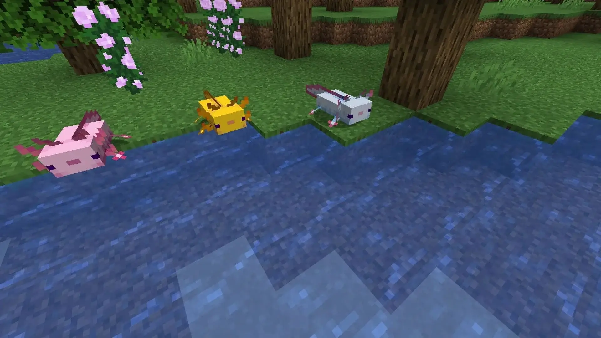 Как разводить аксолотлей в Minecraft - изображение