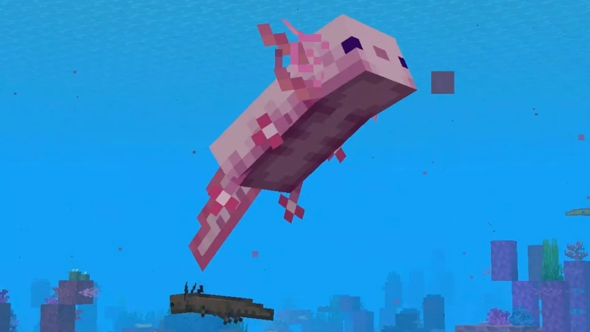 Как разводить аксолотлей в Minecraft - изображение