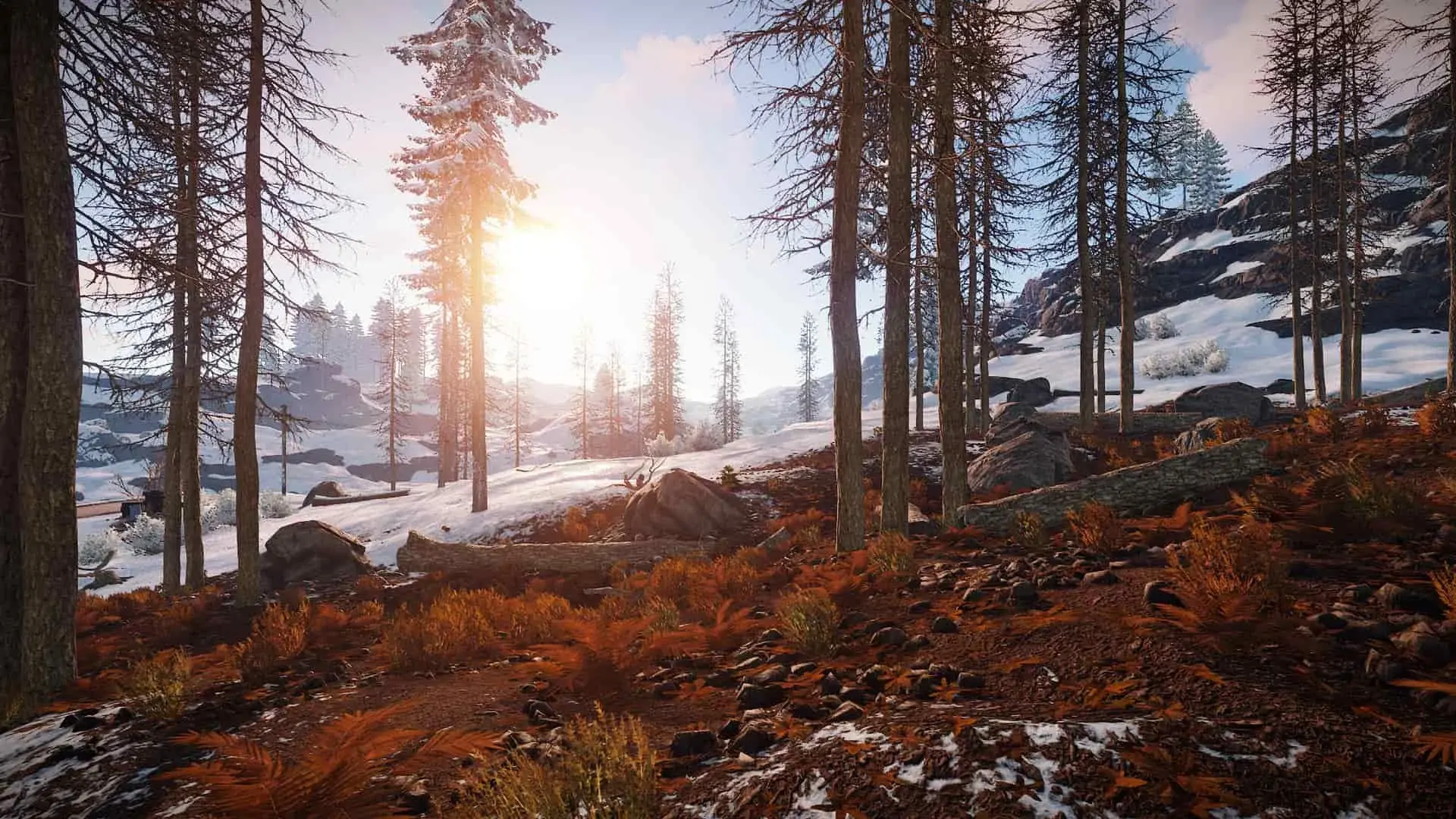 Rust. Настройки графики для слабых ПК - изображение