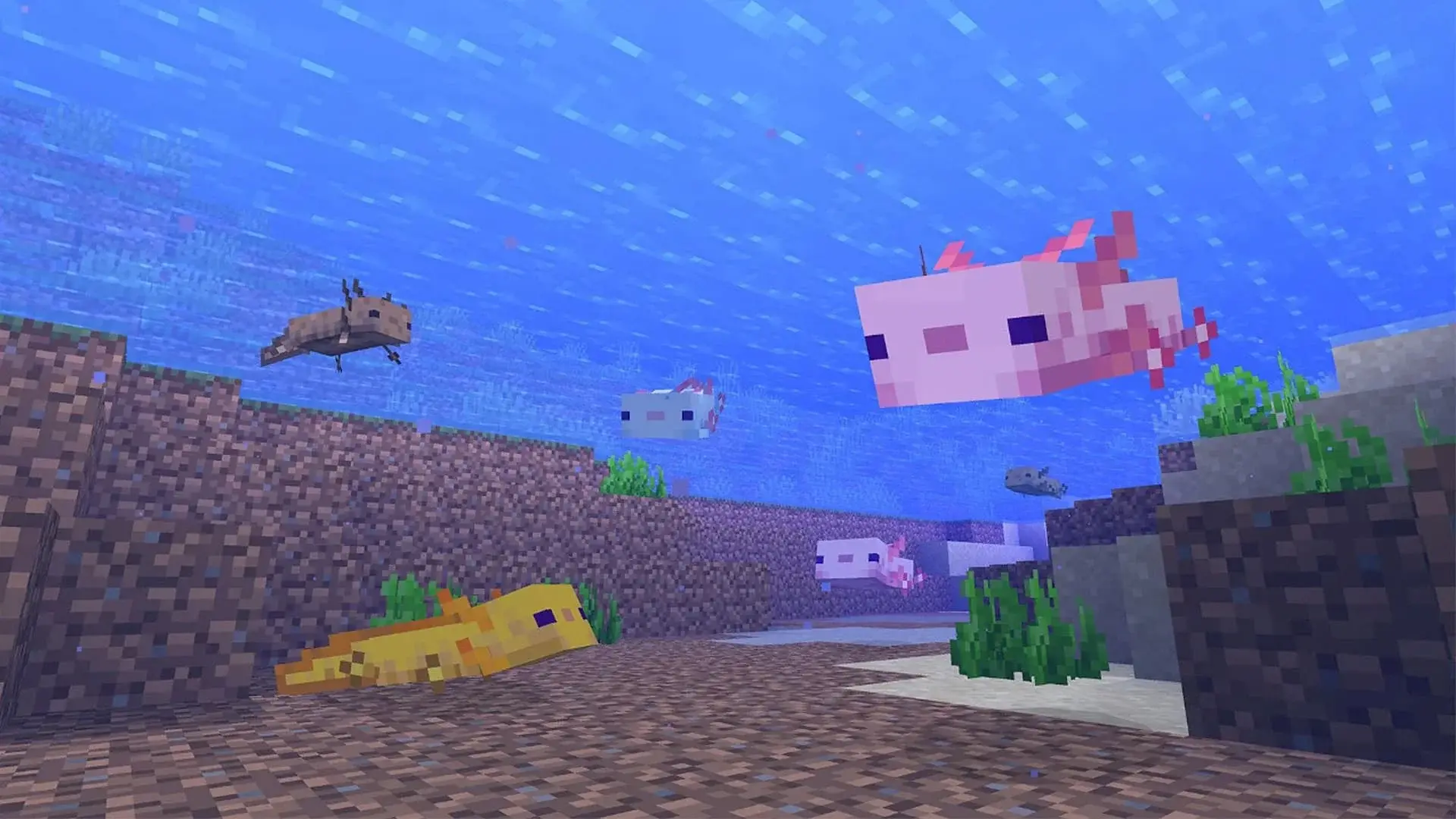 Как разводить аксолотлей в Minecraft - изображение