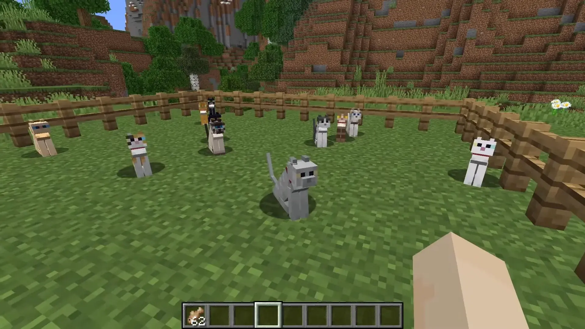 Все виды котов в Minecraft: как приручить и размножить - изображение