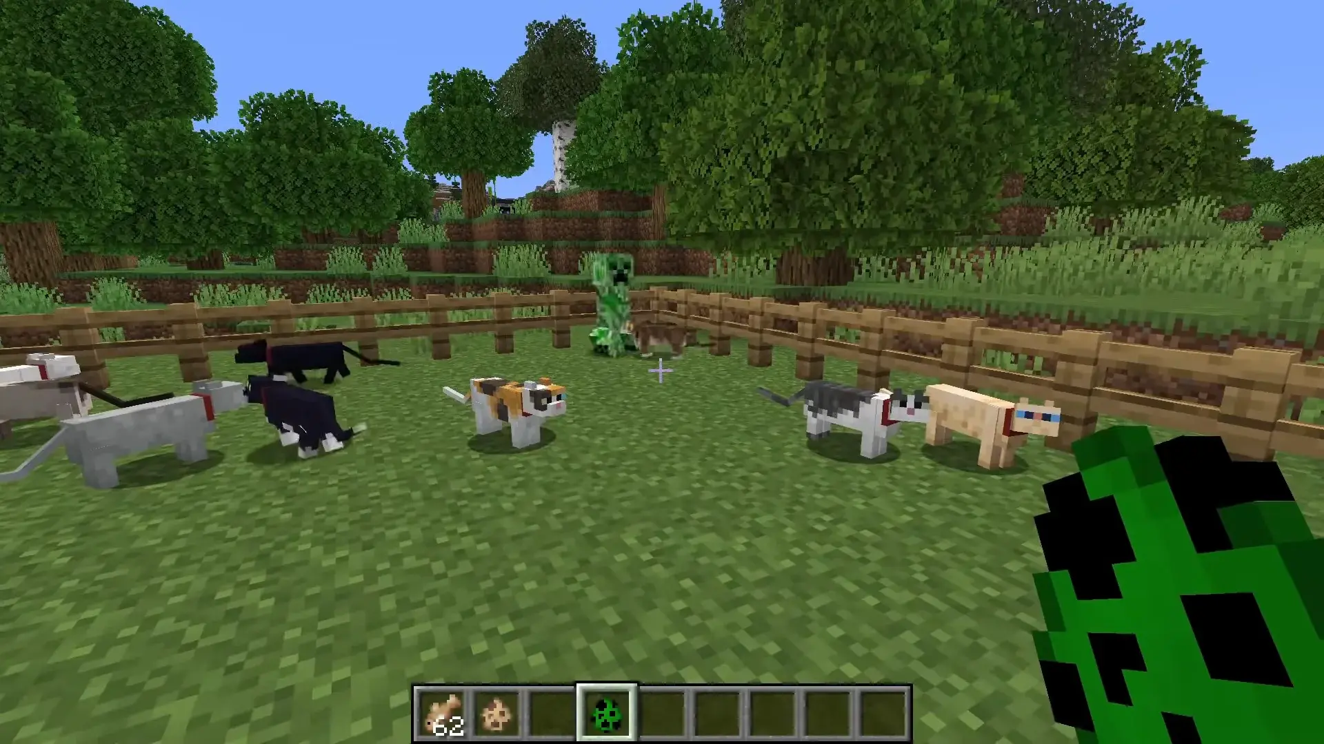 Все виды котов в Minecraft: как приручить и размножить - изображение