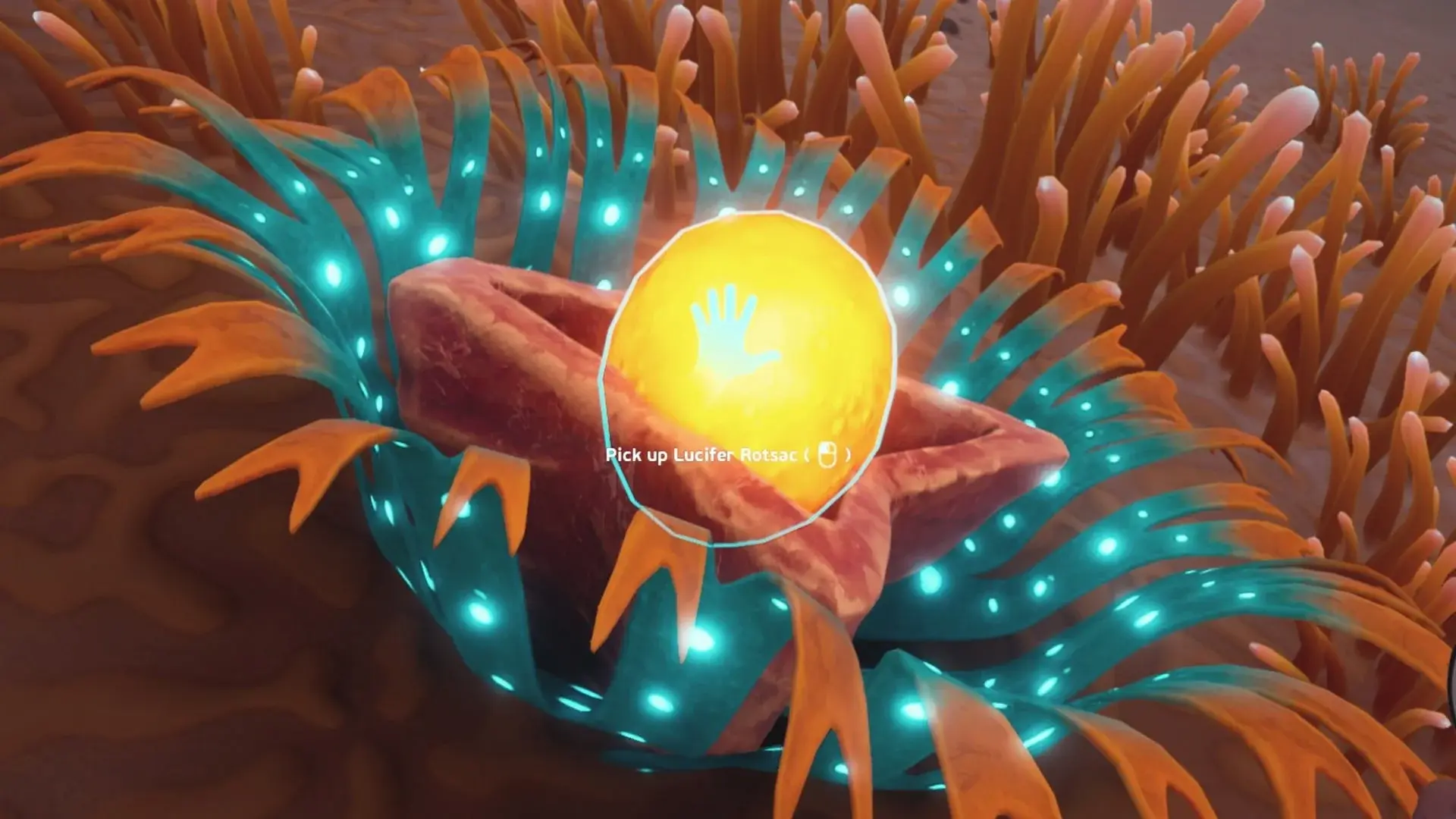 Subnautica 2. Где искать и фармить Гнилушку светоносную - изображение