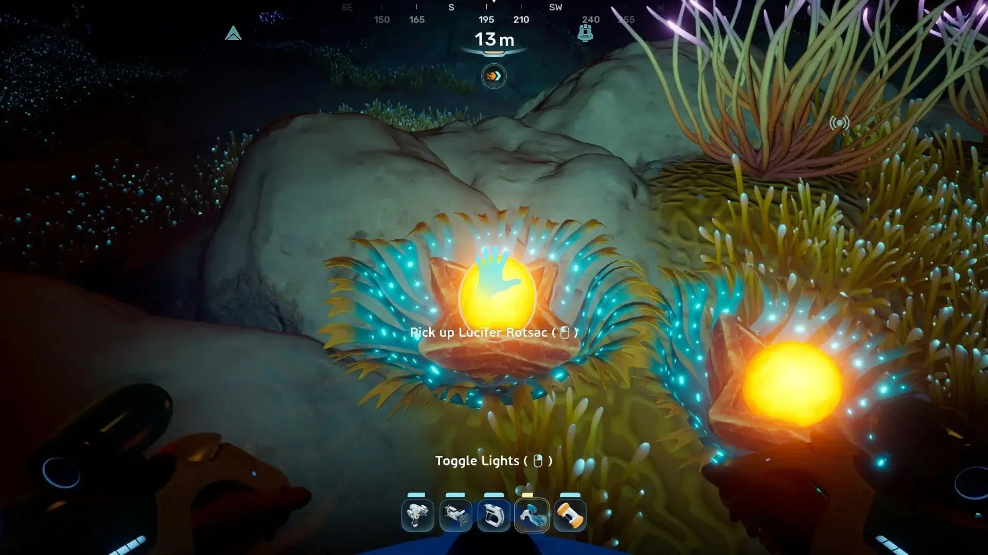 Subnautica 2. Где искать и фармить Гнилушку светоносную - изображение