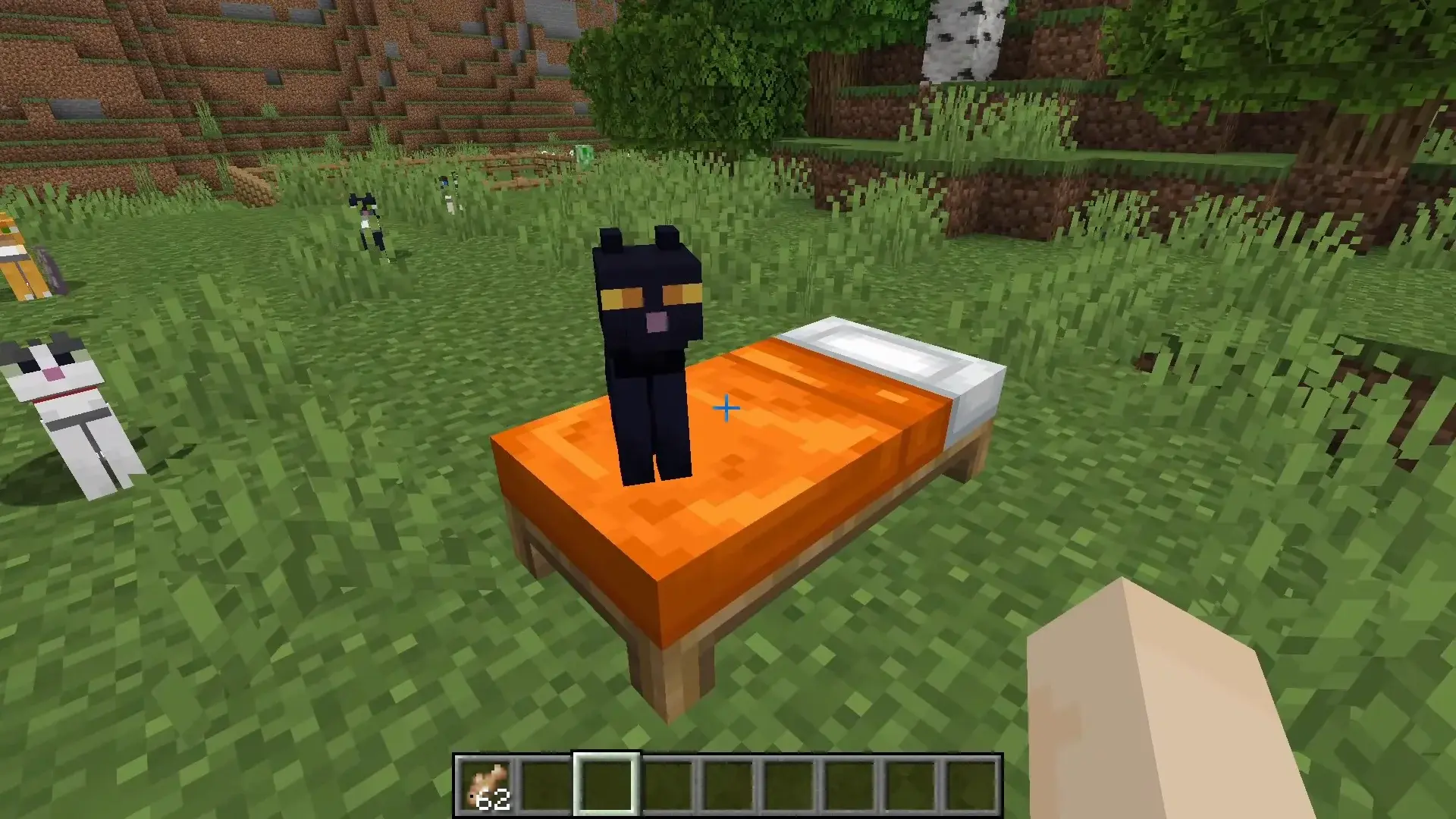 Все виды котов в Minecraft: как приручить и размножить - изображение