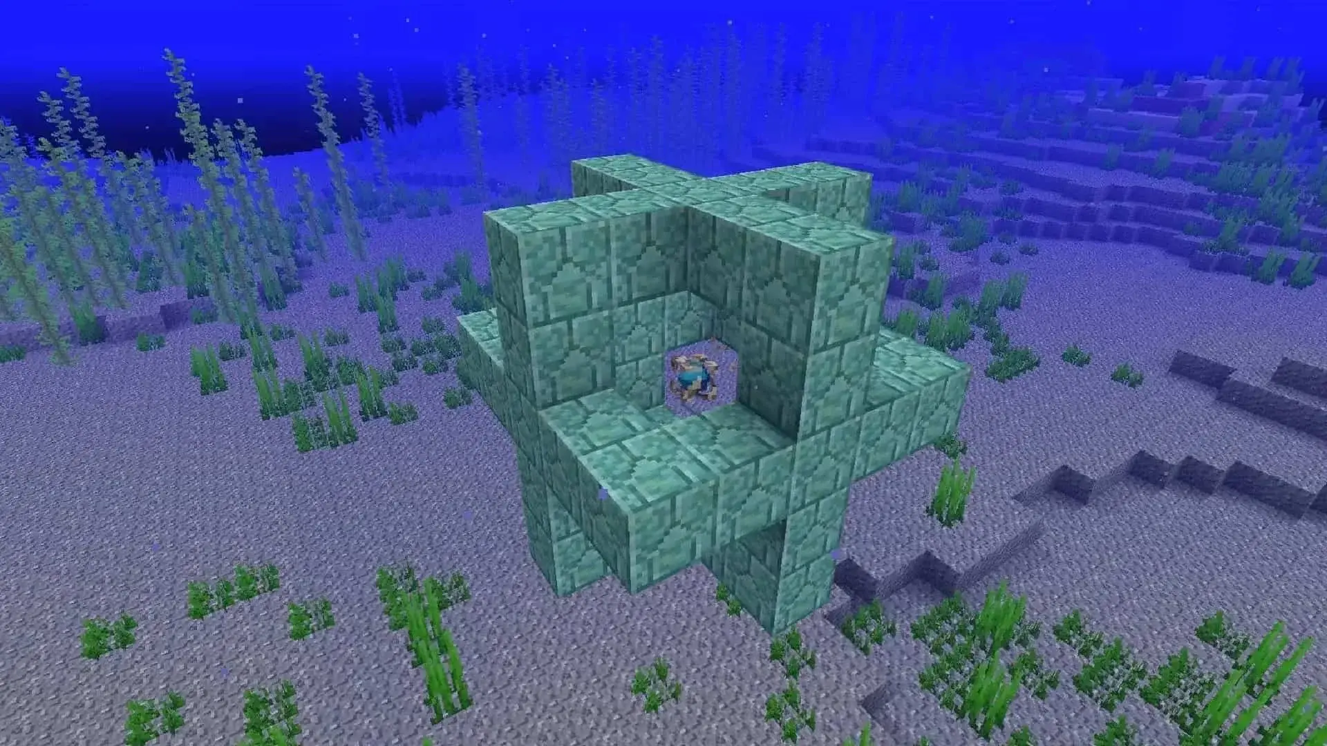Сердце моря в Minecraft - изображение