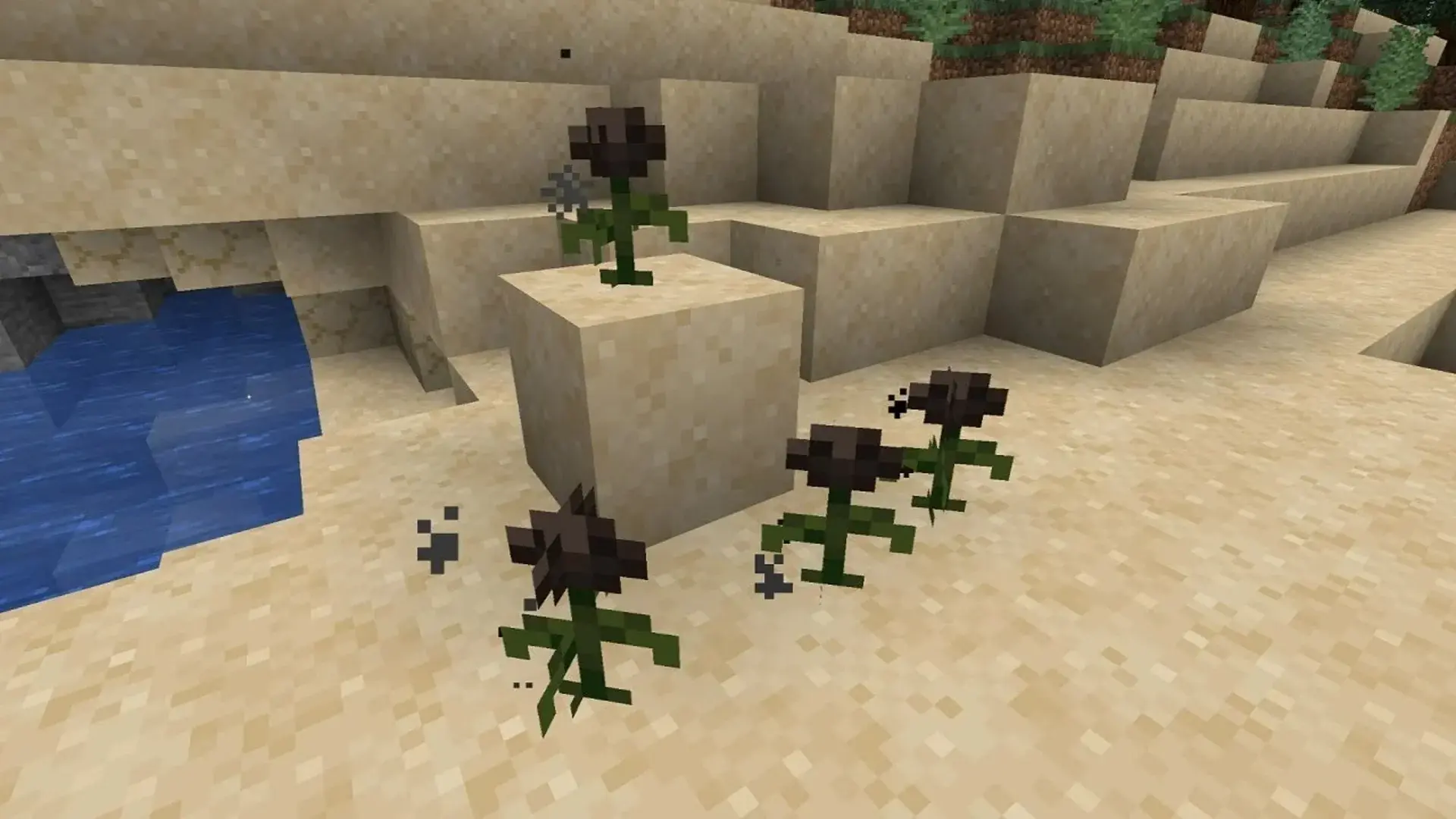 Роза визера (Wither Rose) в Minecraft: как получить и для чего нужна - изображение