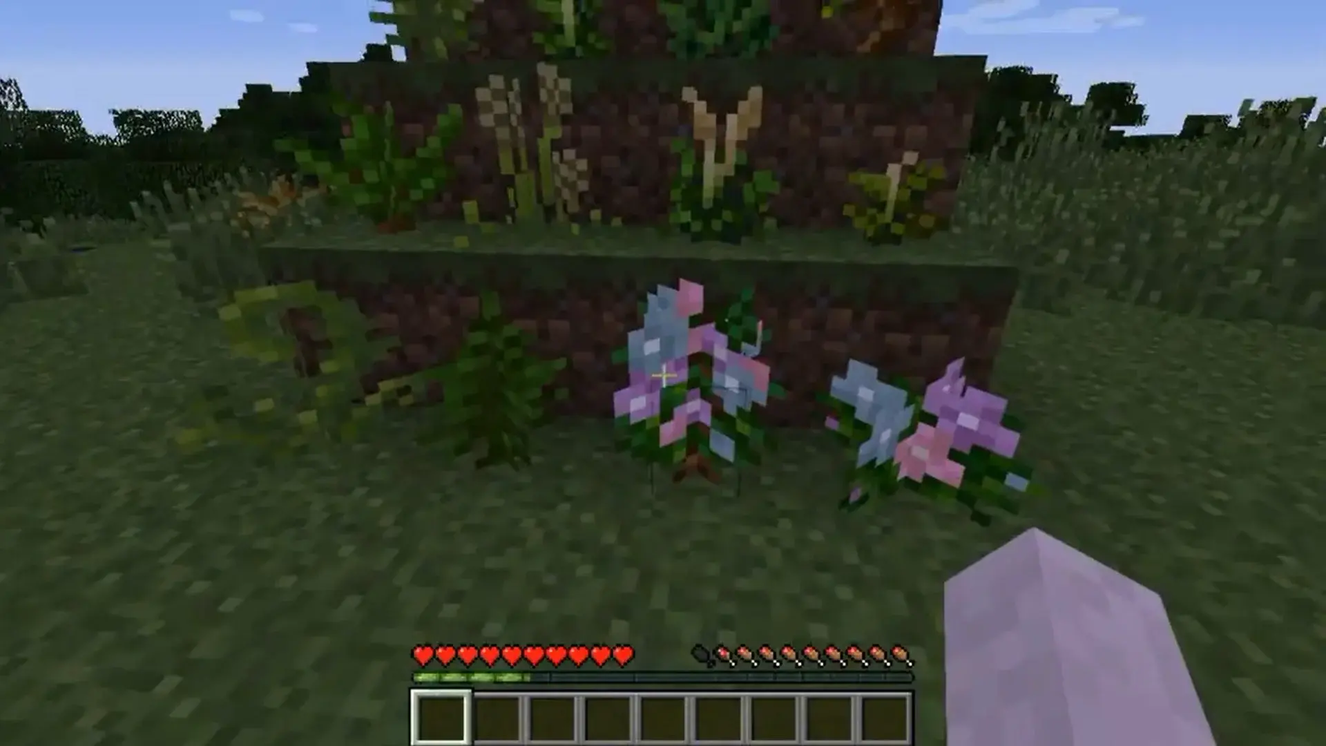 Minecraft. Лучшие моды на траву и растительность - изображение