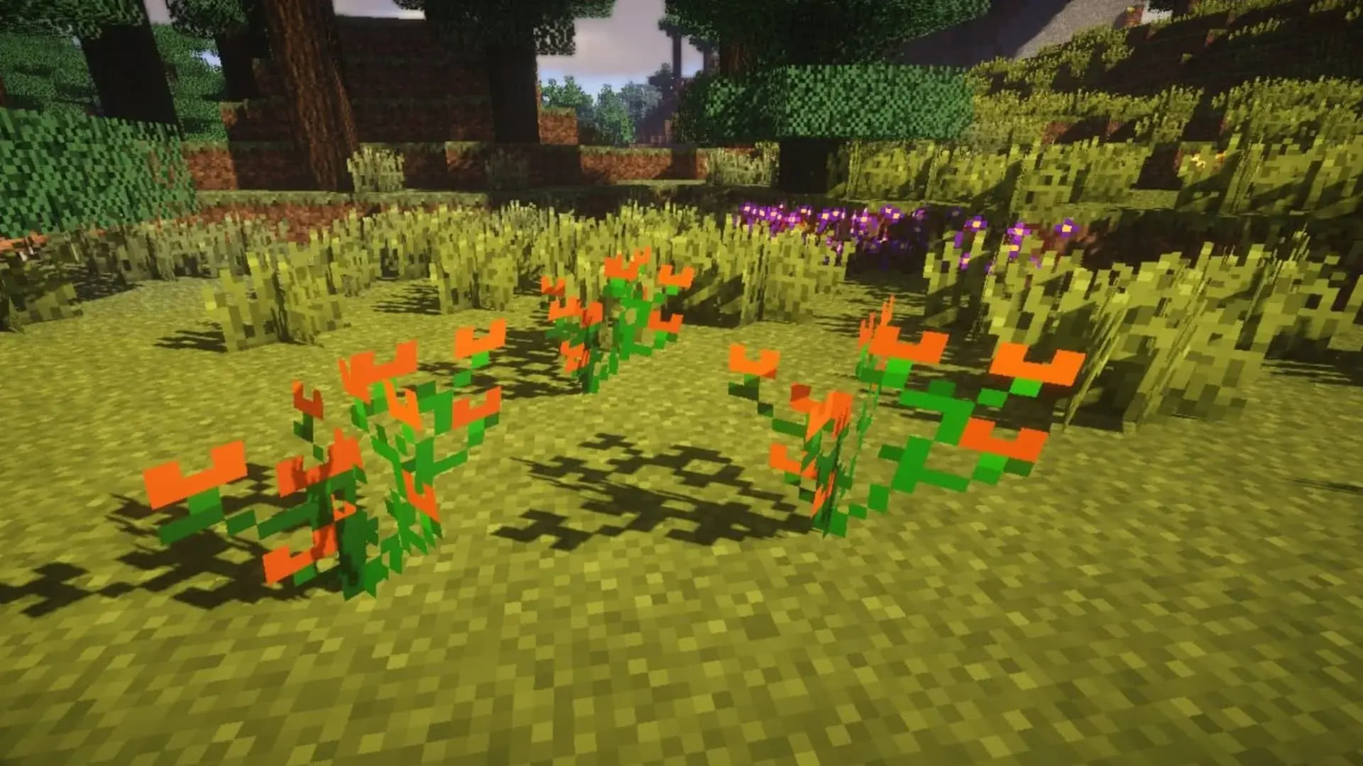 Minecraft. Лучшие моды на траву и растительность - изображение