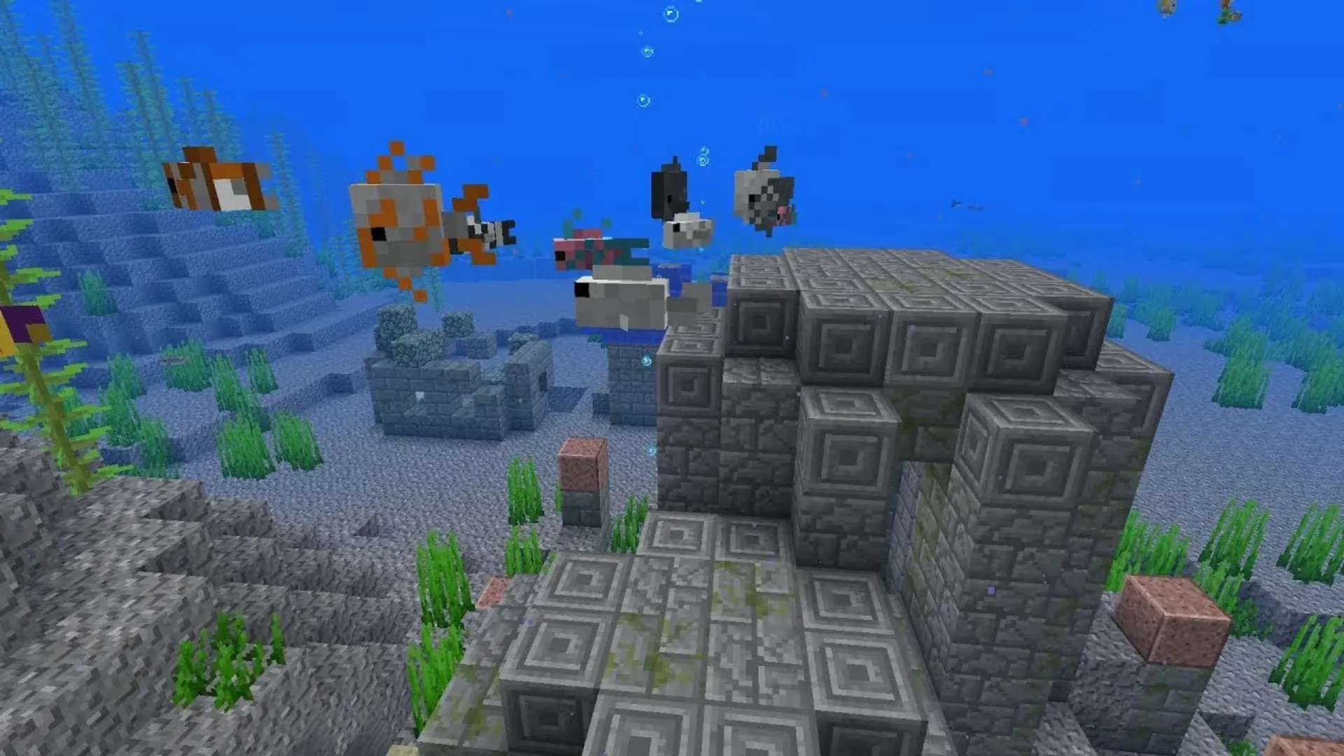Minecraft. Тропическая рыба: где найти, для чего и как разводить - изображение