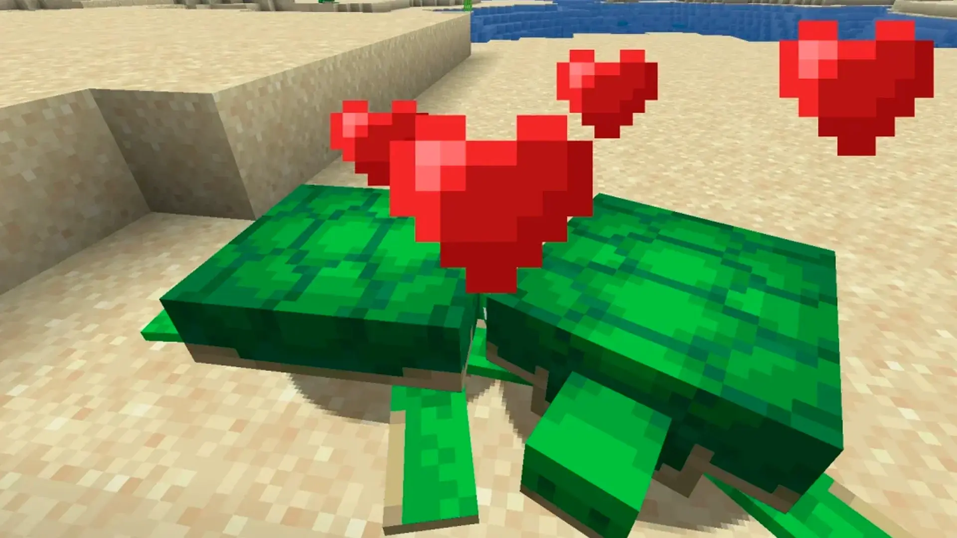 Как разводить черепах в Minecraft и сколько вылупляются яйца - изображение
