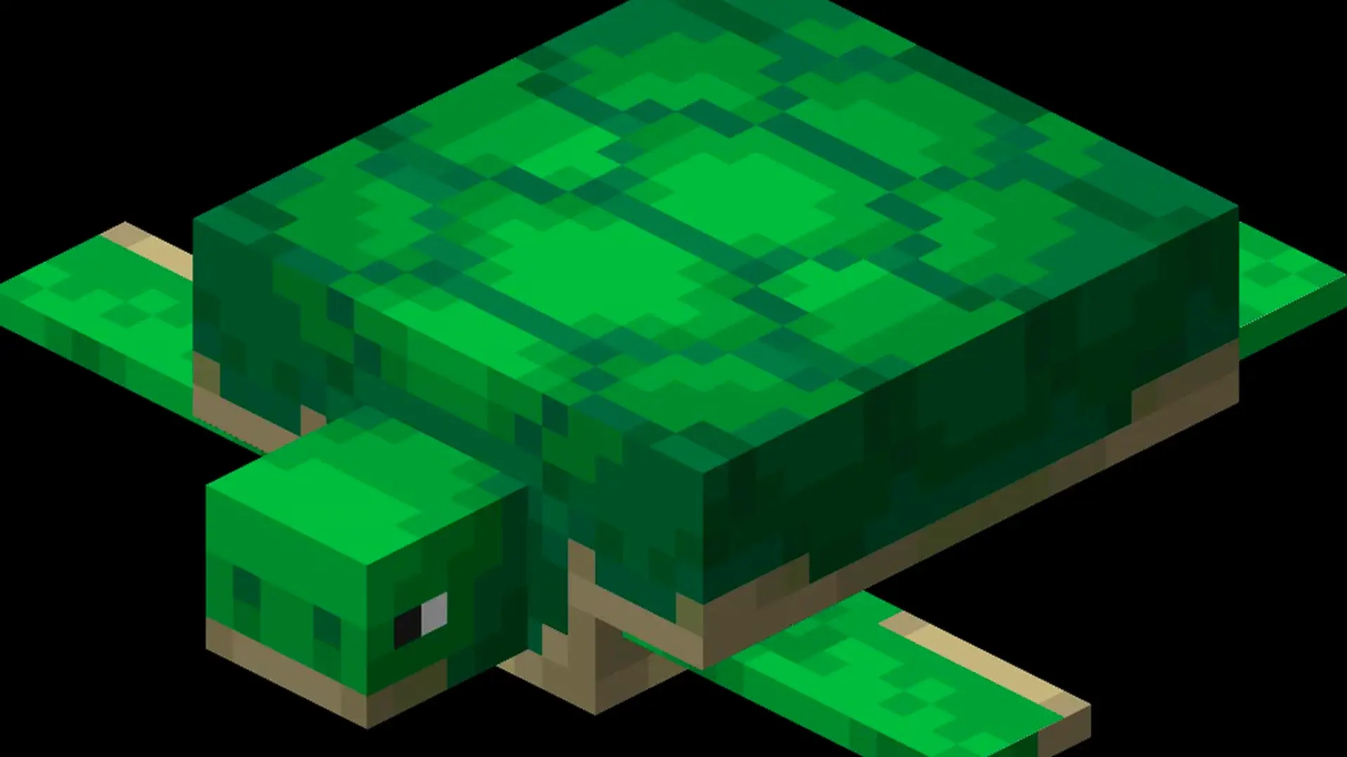 Как разводить черепах в Minecraft и сколько вылупляются яйца - изображение