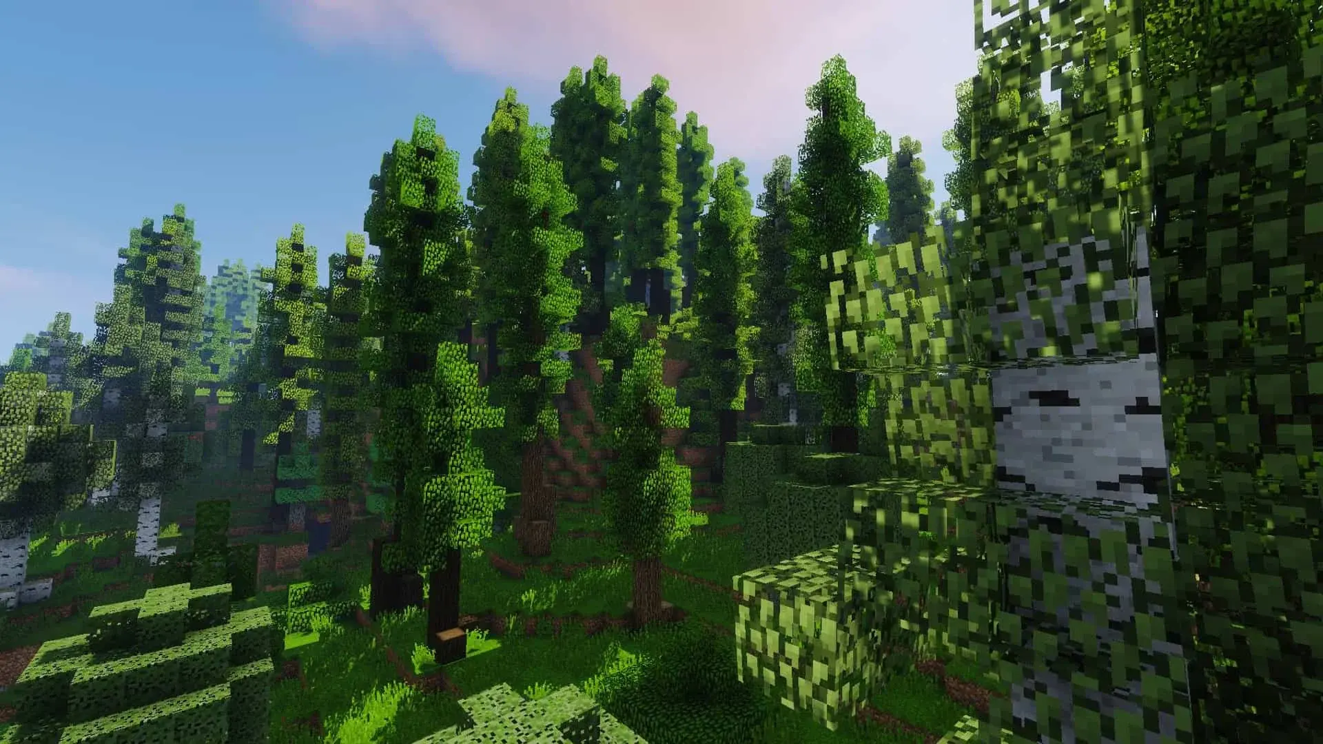 Minecraft. Лучшие моды на деревья - изображение