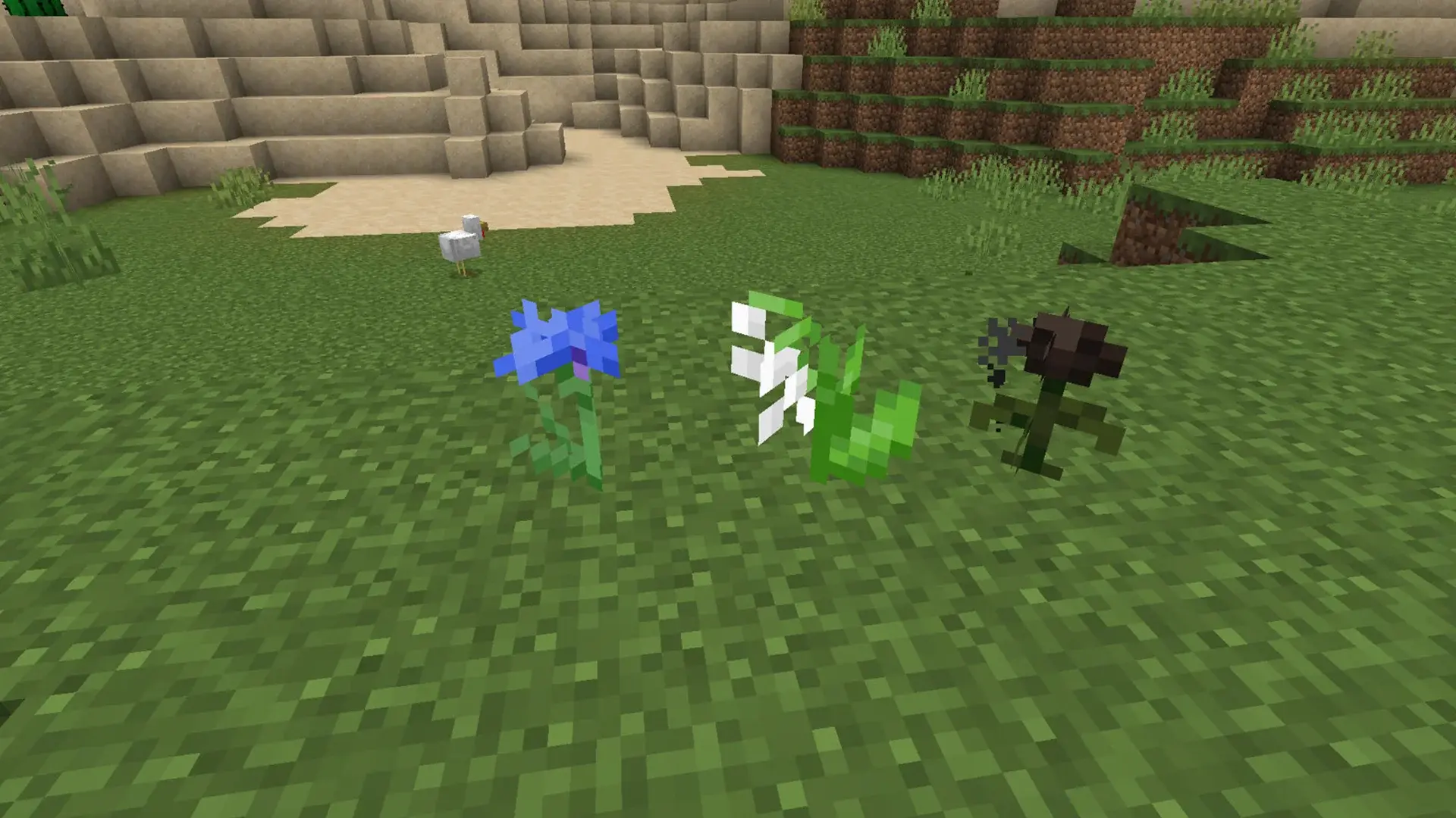 Роза визера (Wither Rose) в Minecraft: как получить и для чего нужна - изображение