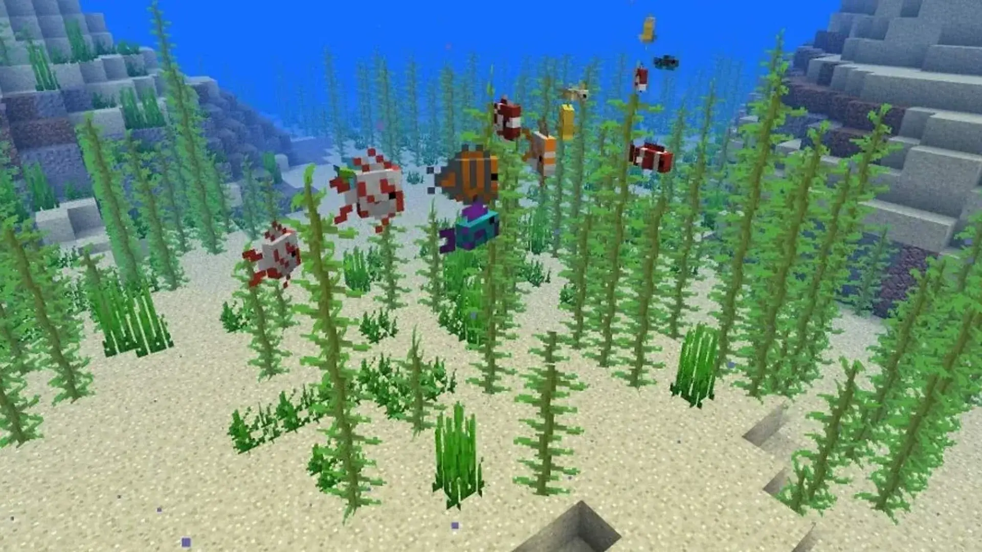 Minecraft. Тропическая рыба: где найти, для чего и как разводить - изображение