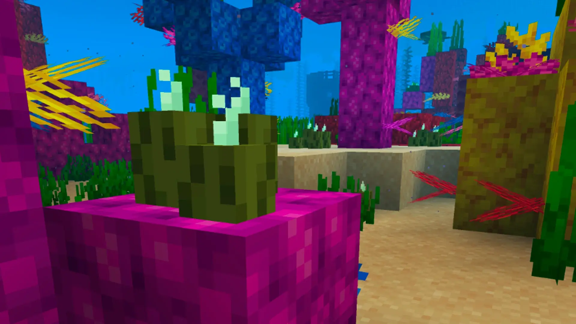 Где найти и как добыть кораллы в Minecraft - изображение