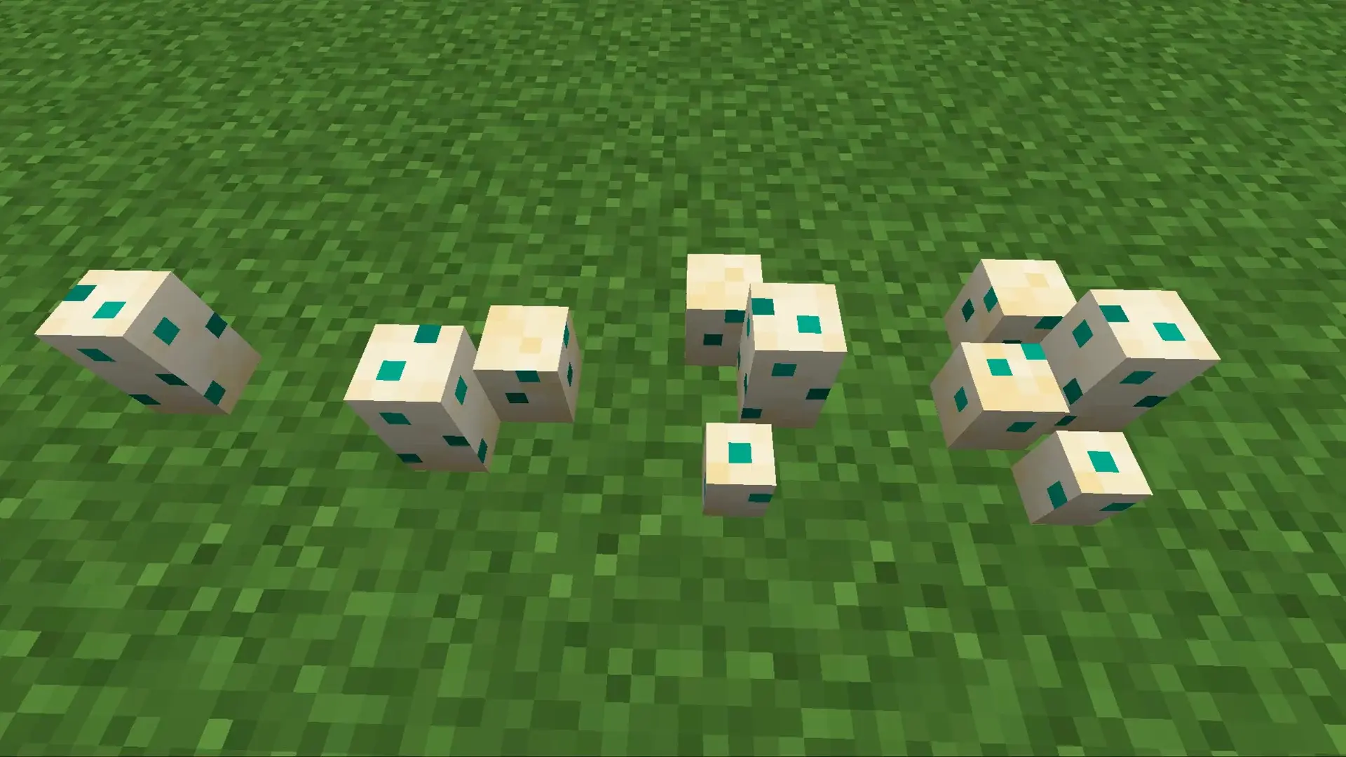 Как разводить черепах в Minecraft и сколько вылупляются яйца - изображение