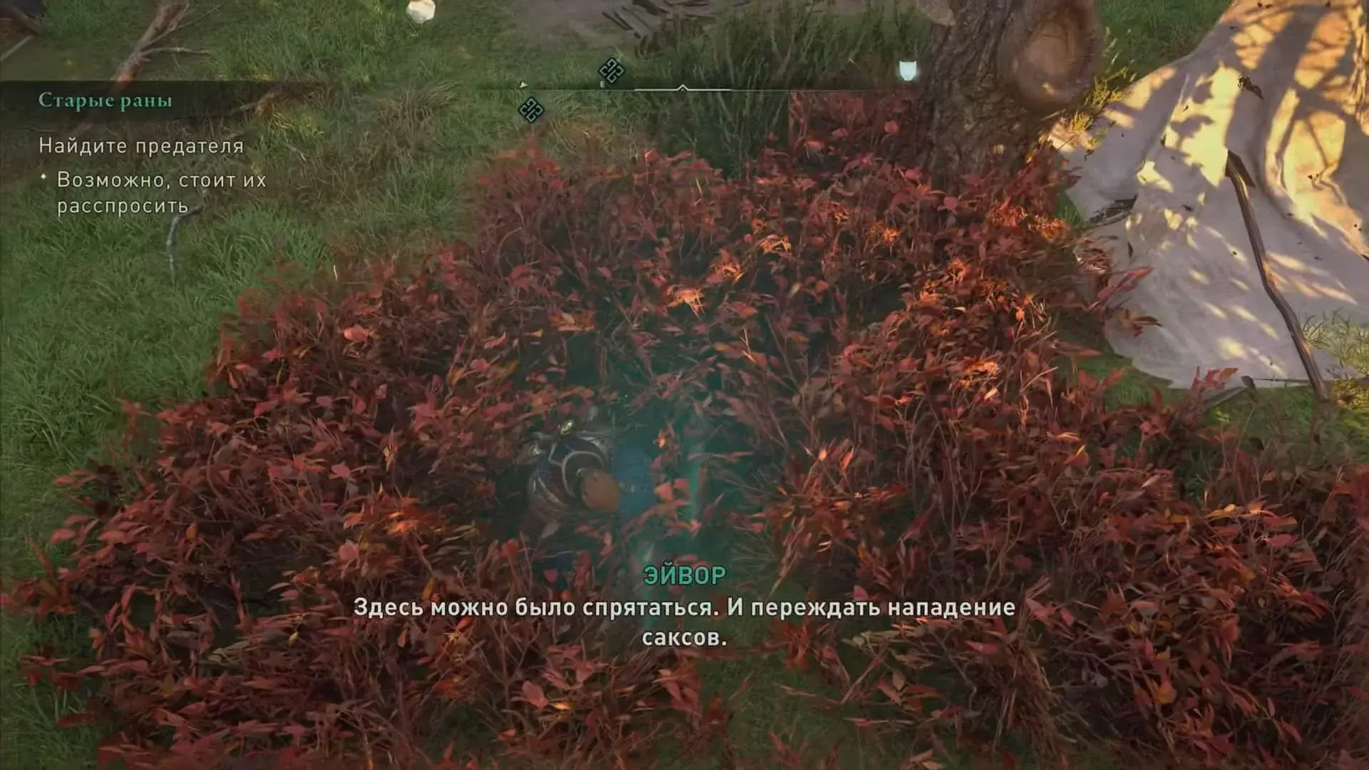 Assassin's Creed Valhalla. Кто предатель в квесте «Старые раны» - изображение
