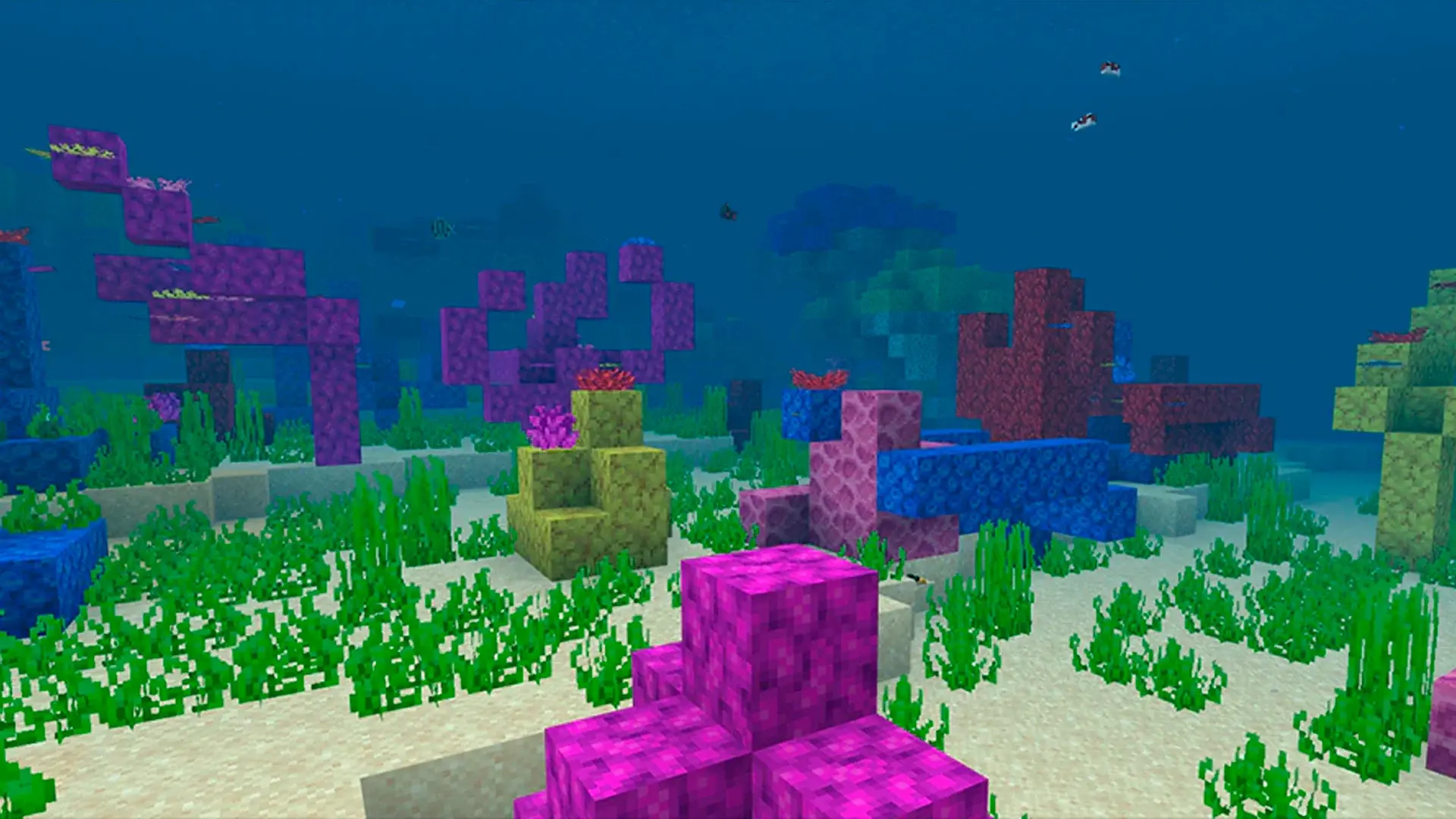 Где найти и как добыть кораллы в Minecraft - изображение