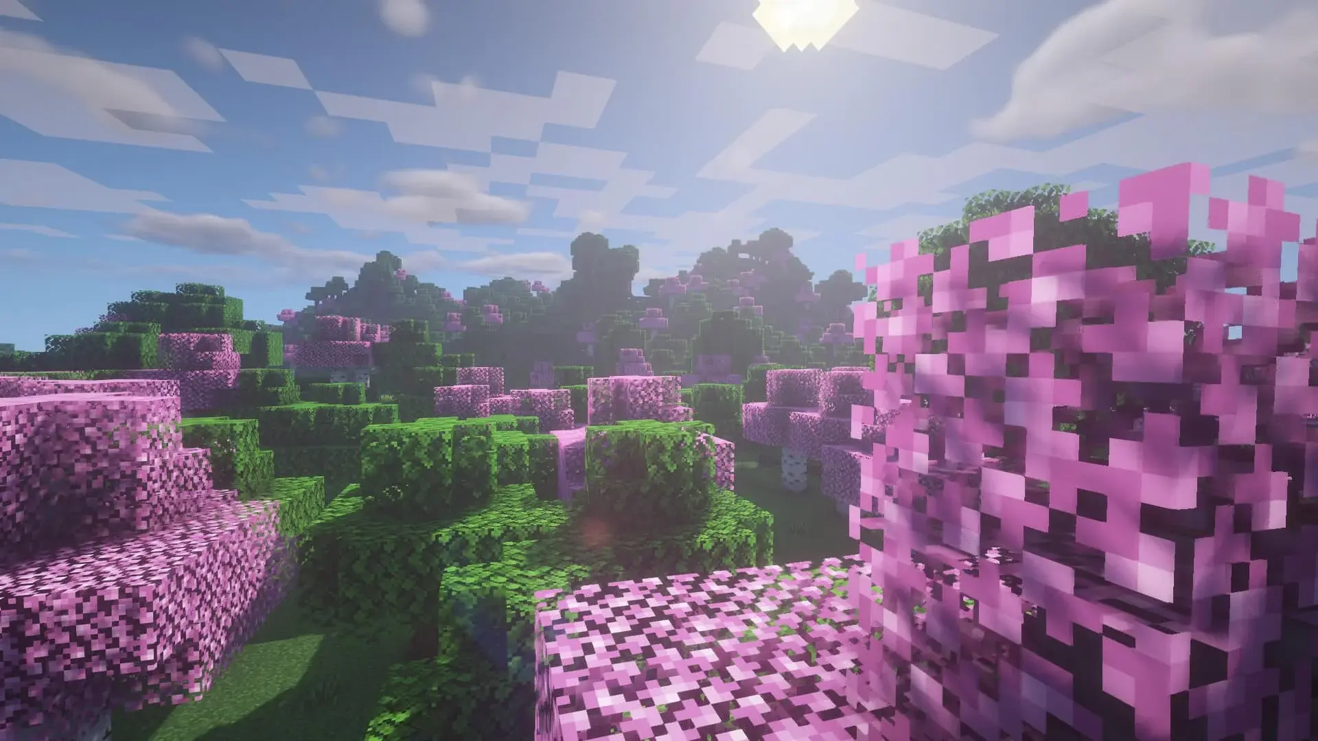 Вишнёвая роща в Minecraft: где найти и как использовать розовое дерево - изображение