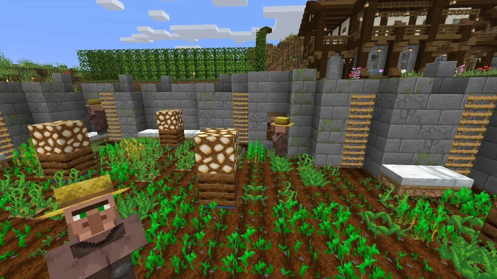 Пшеничная, свекольная, морковная и картофельная фермы в Minecraft - изображение